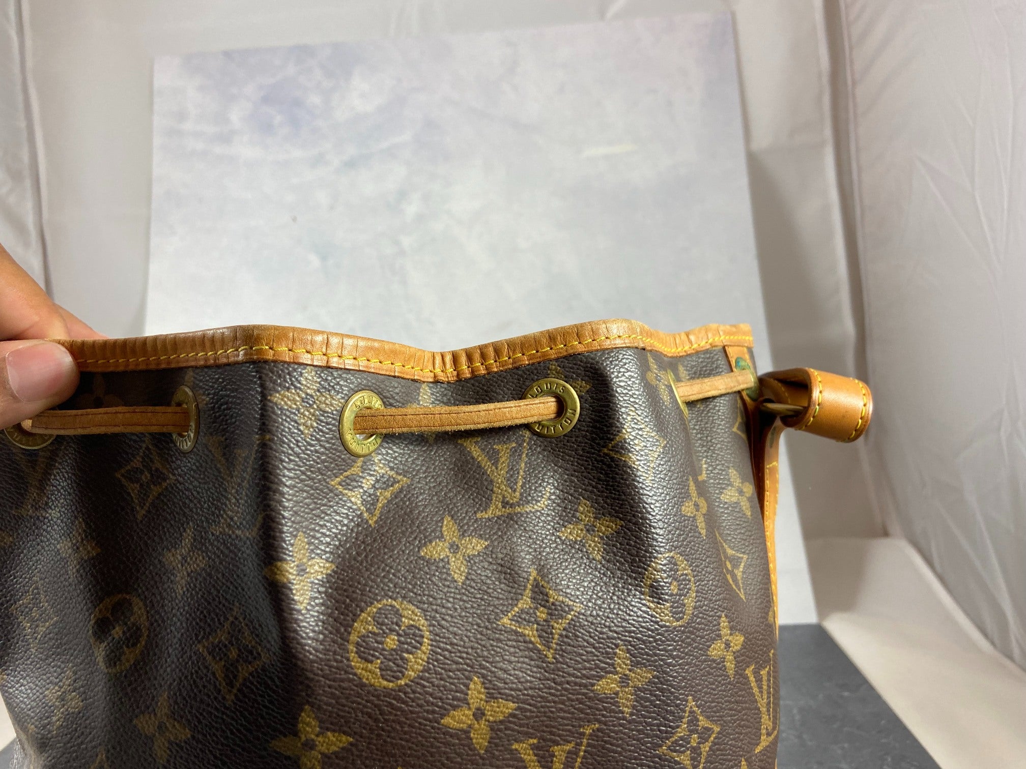 Louis Vuitton Sac Noé Petit Monogram Canvas