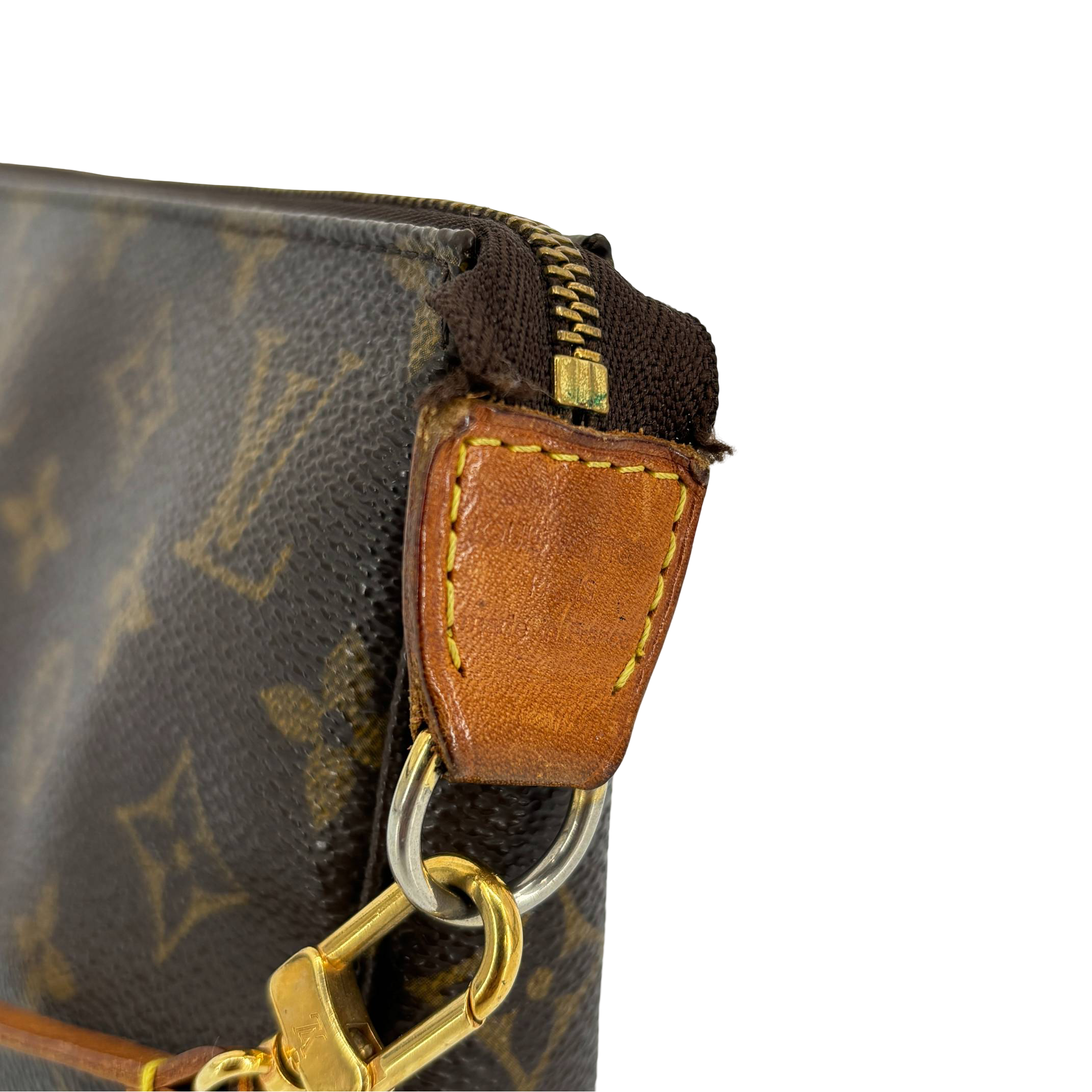Louis Vuitton Pochette Accessoires Monogram Canvas