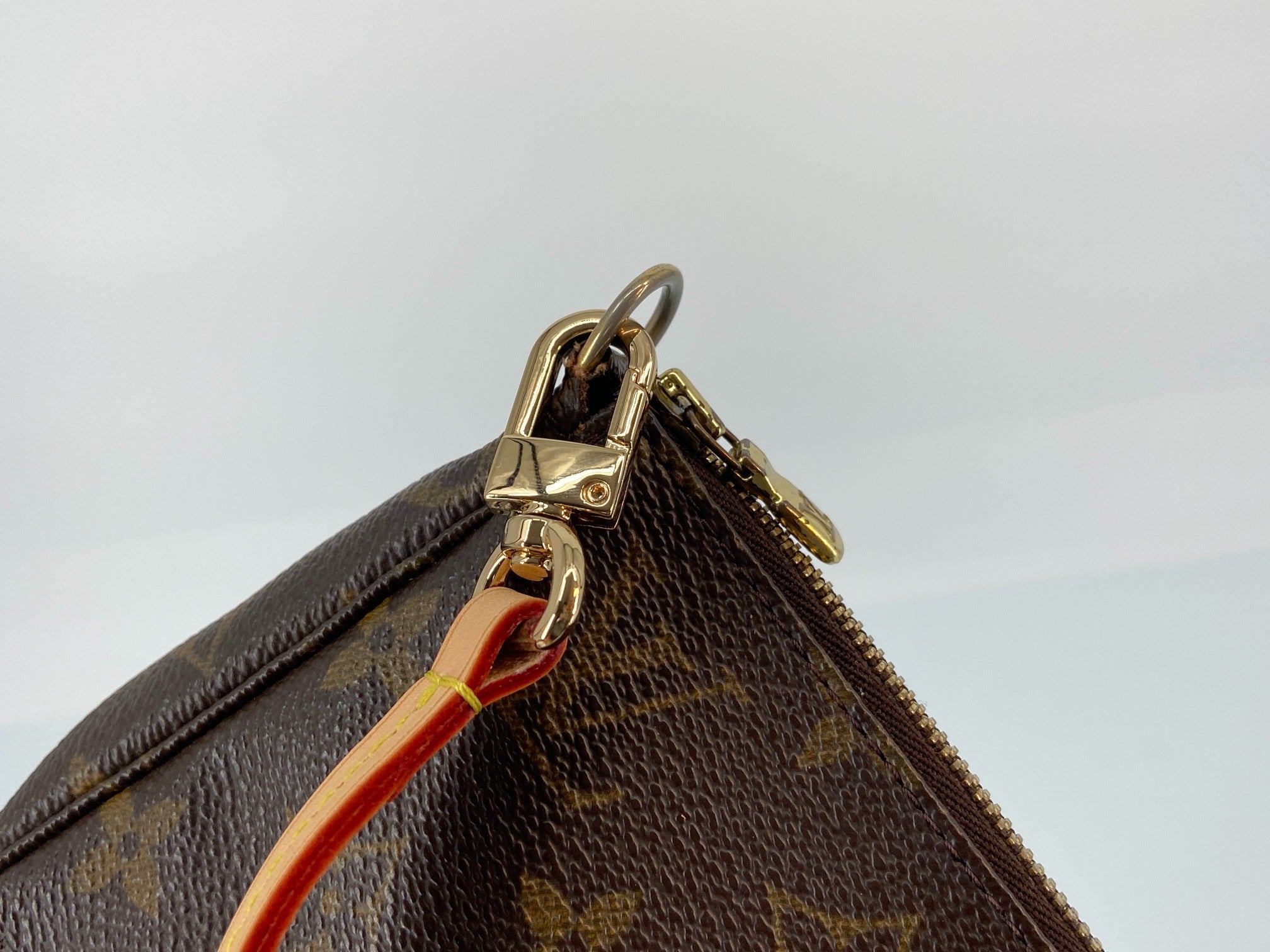Louis Vuitton Pochette Accessoires Monogram Canvas