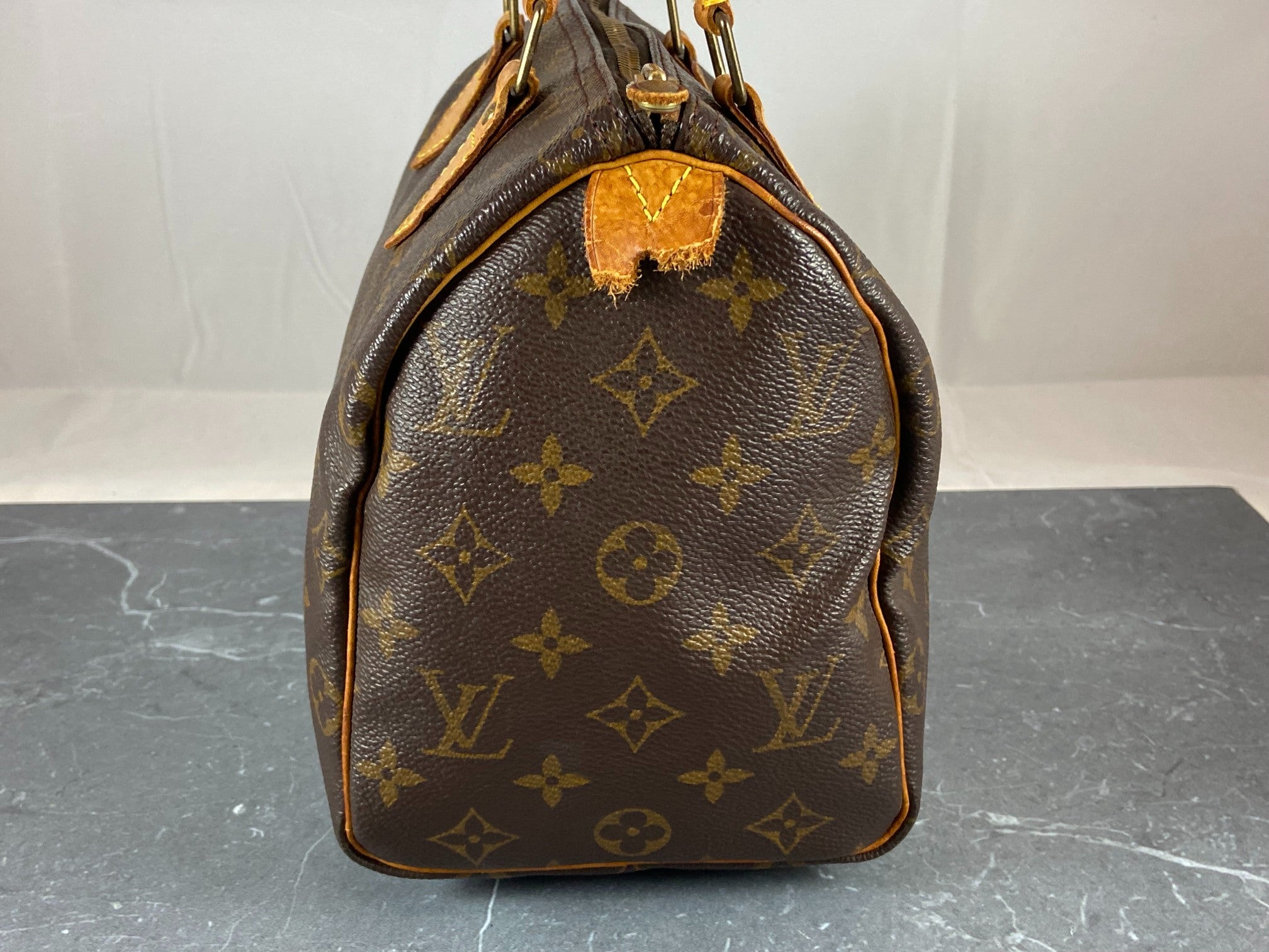 Louis Vuitton Speedy 25 Monogram Canvas