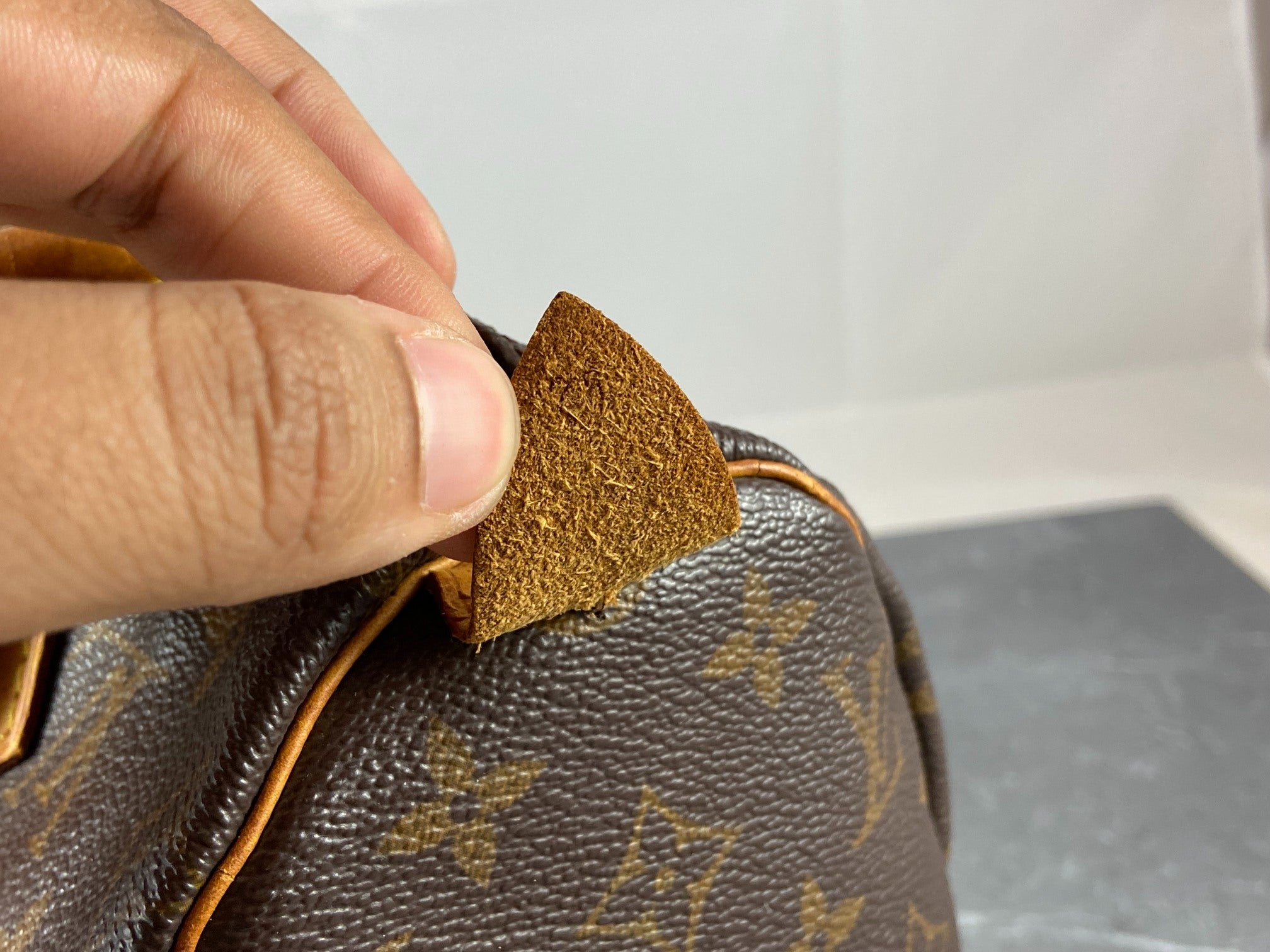 Louis Vuitton Speedy 25 Monogram Canvas