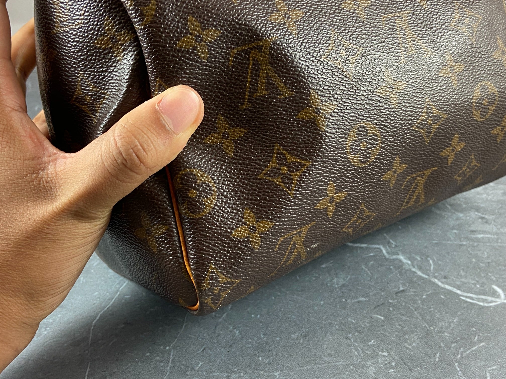 Louis Vuitton Speedy 25 Monogram Canvas