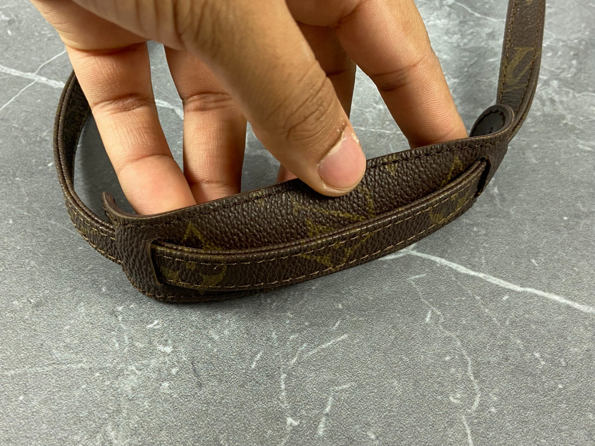 Louis Vuitton Pochette Accessoires Monogram Canvas