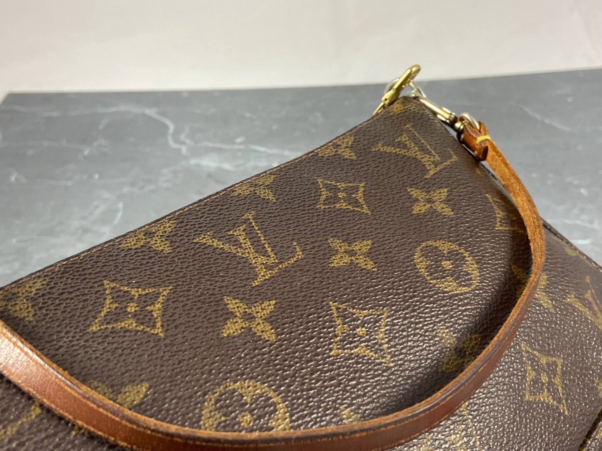 Louis Vuitton Pochette Accessoires Monogram Canvas