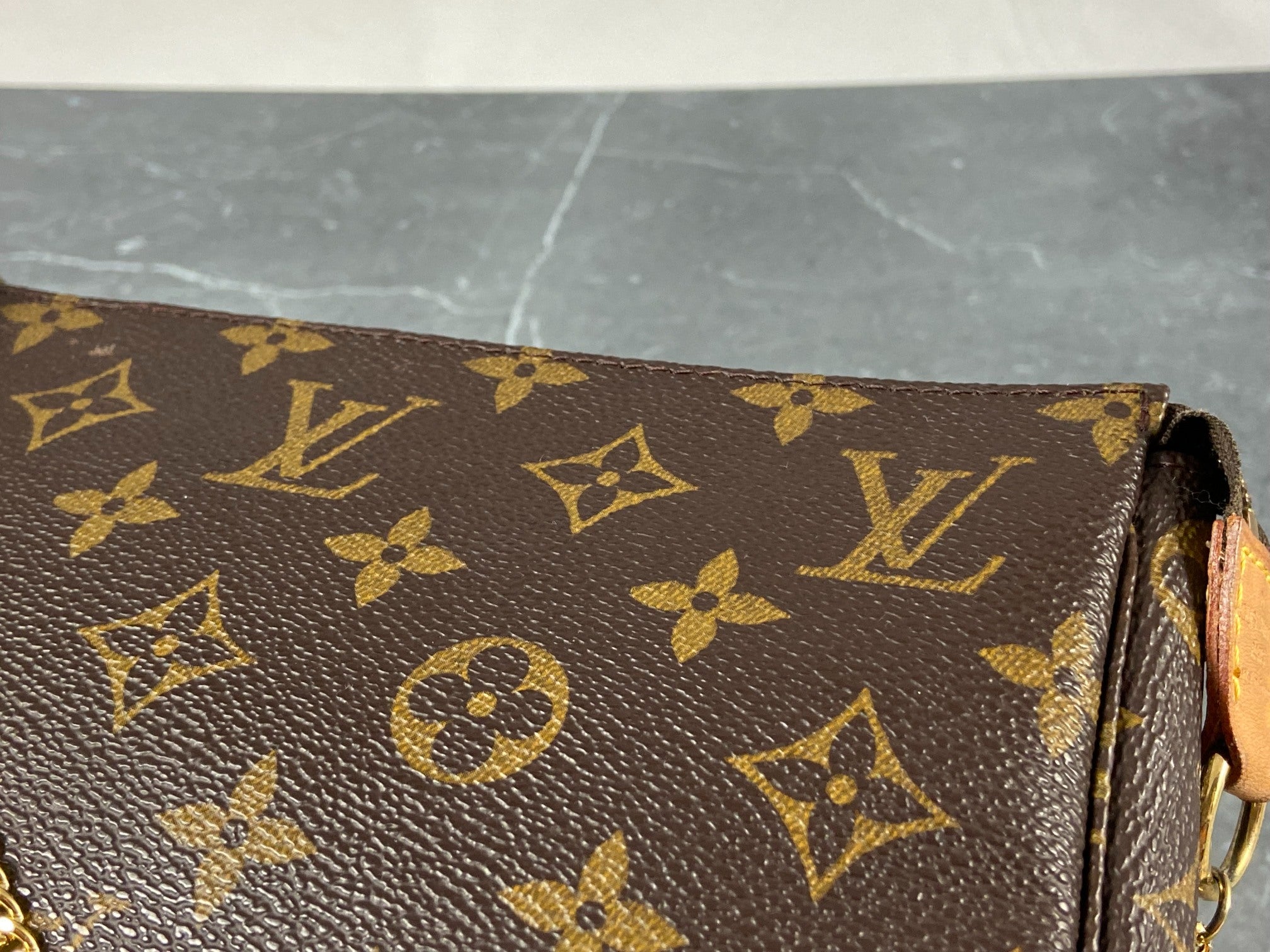 Louis Vuitton Pochette Accessoires Monogram Canvas