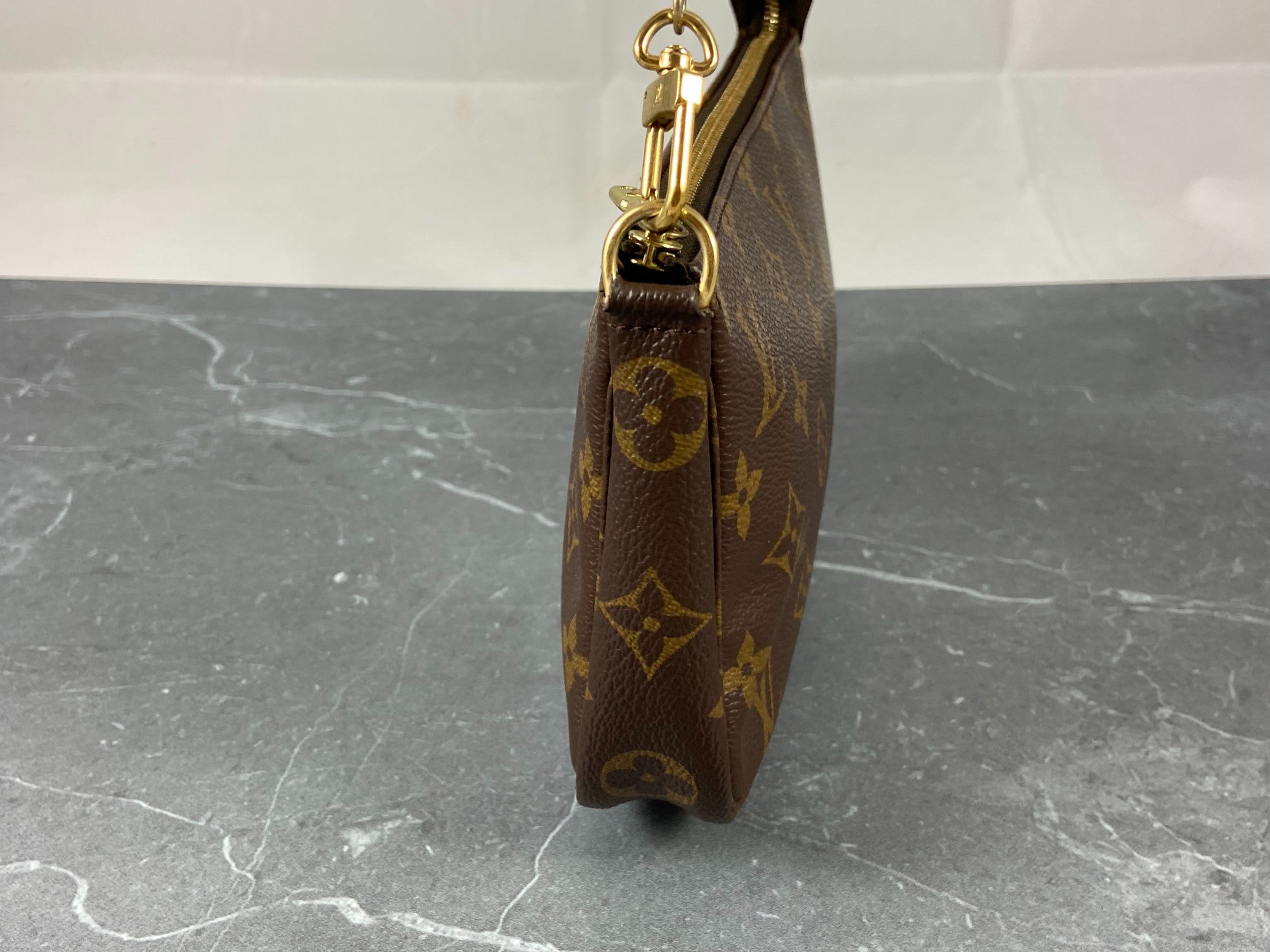 Louis Vuitton Pochette Accessoires Monogram Canvas
