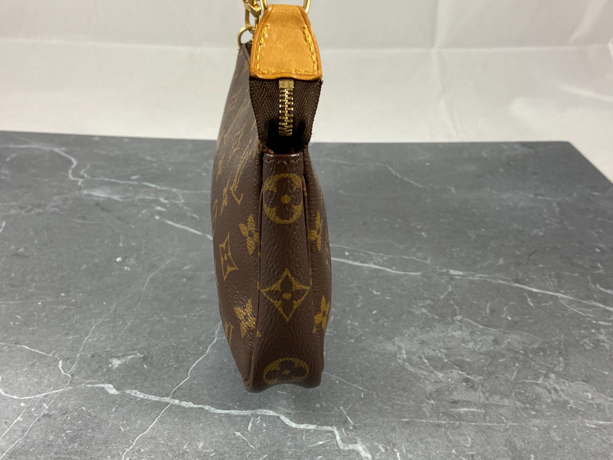 Louis Vuitton Pochette Accessoires Monogram Canvas