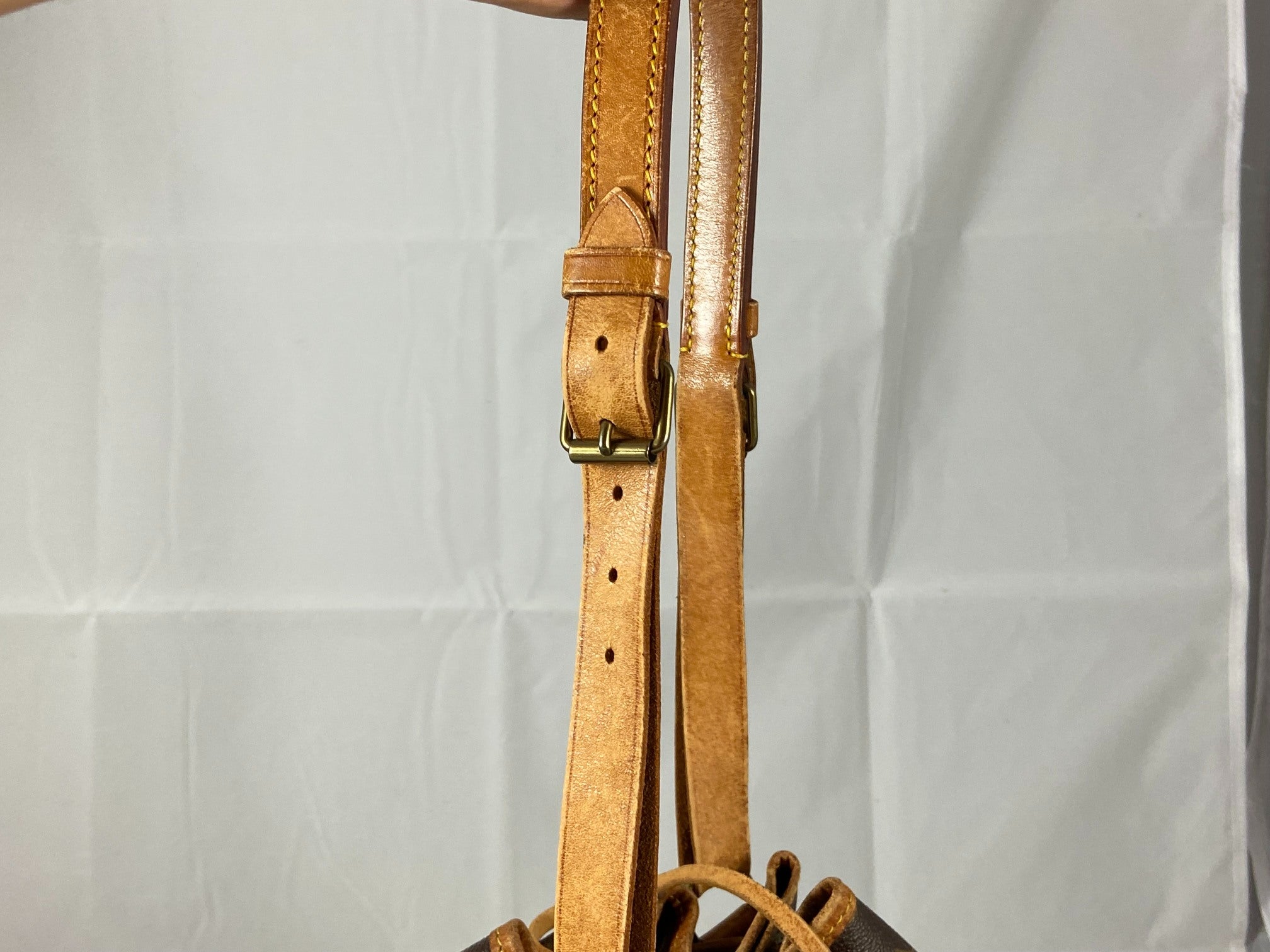 Louis Vuitton Sac Noé Petit Monogram Canvas