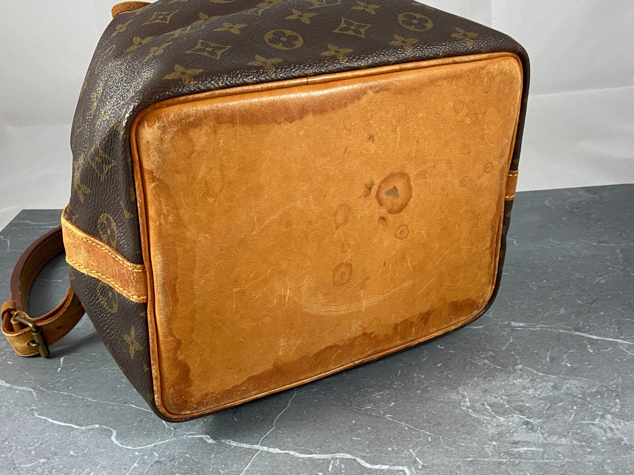 Louis Vuitton Sac Noé Petit Monogram Canvas