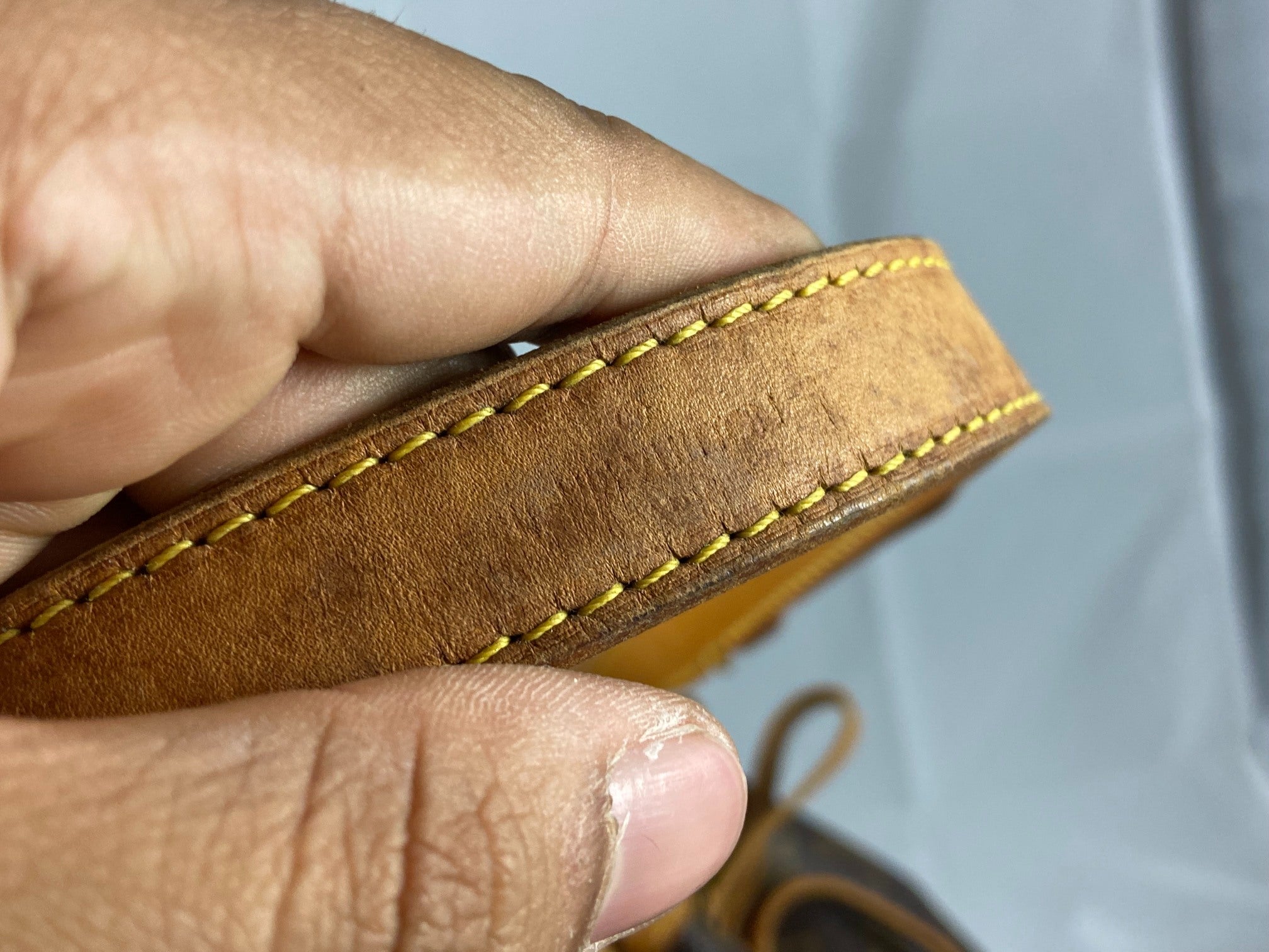 Louis Vuitton Sac Noé Grand Monogram Canvas