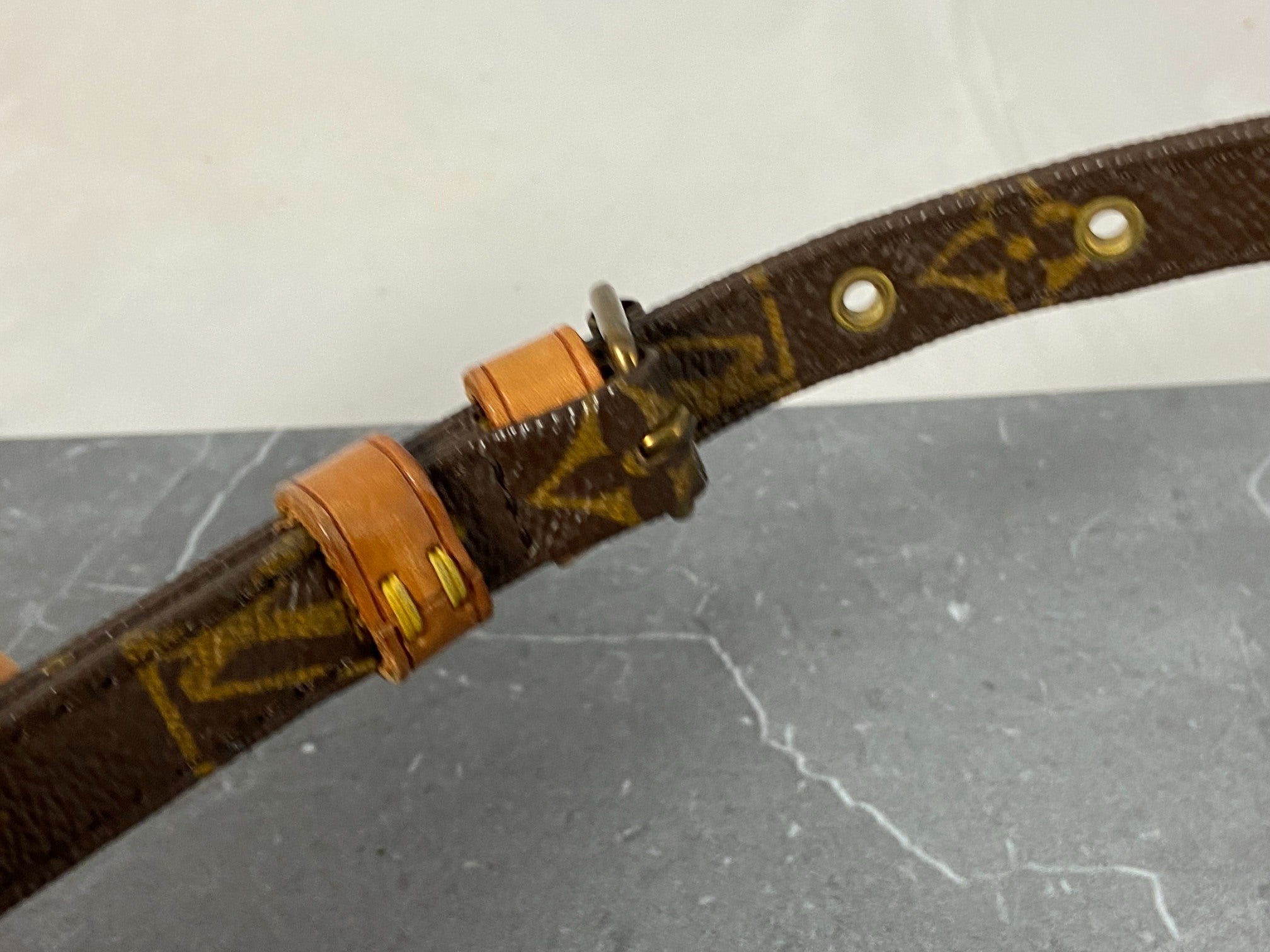 Louis Vuitton Danube PM Monogram Canvas