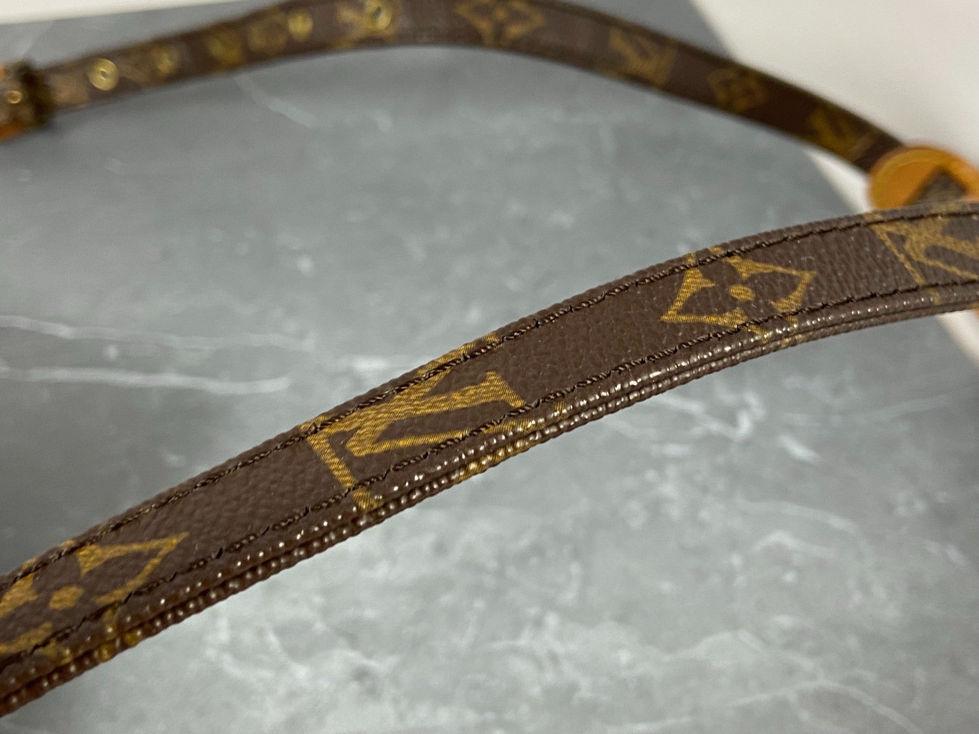 Louis Vuitton Danube PM Monogram Canvas