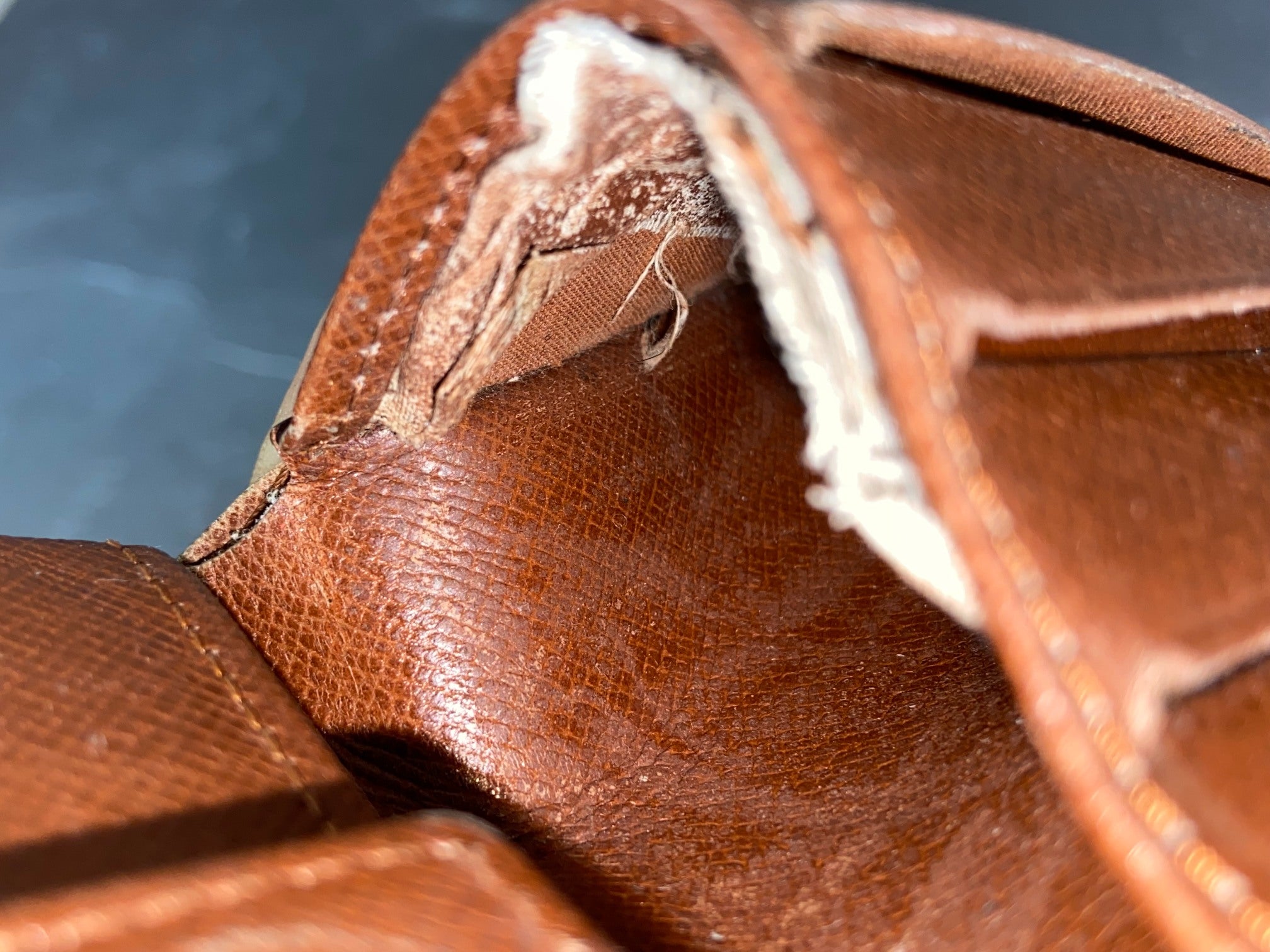 Louis Vuitton Monogram Canvas