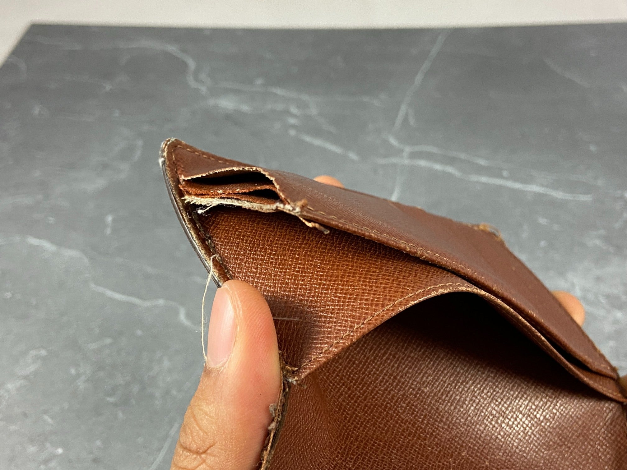 Louis Vuitton Monogram Canvas