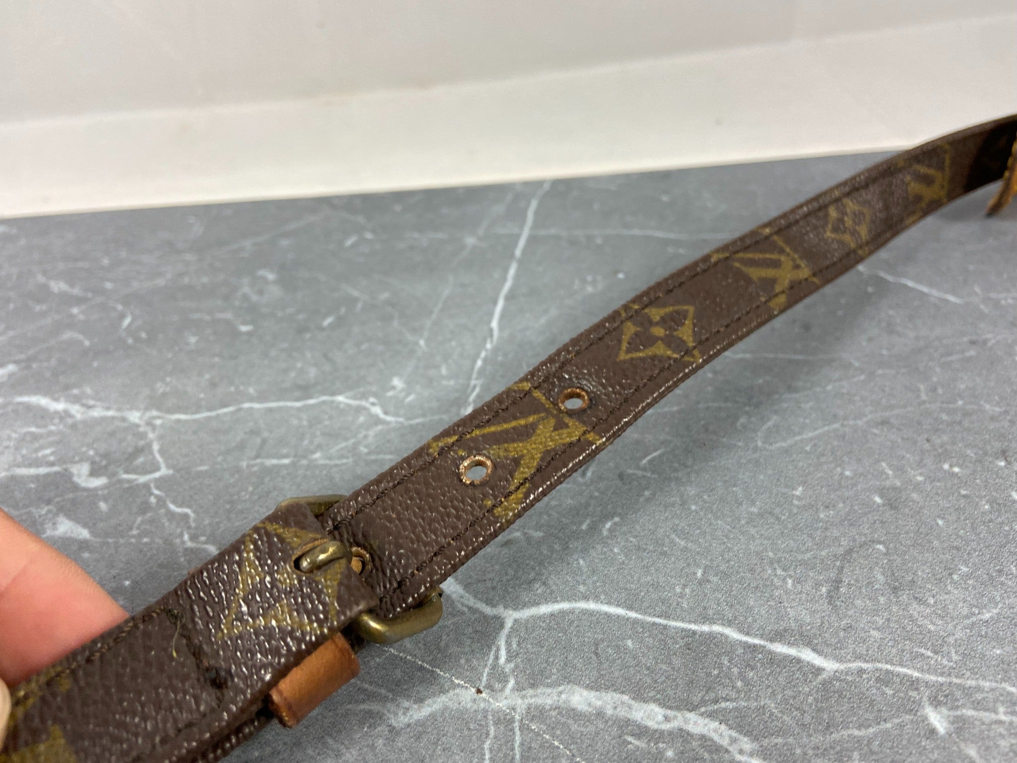 Louis Vuitton Danube MM Monogram Canvas