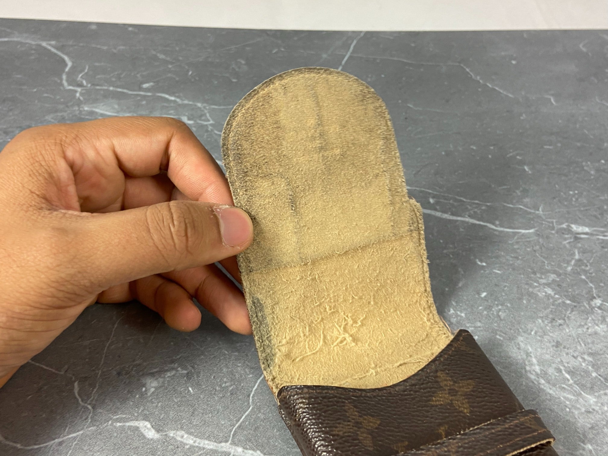 Louis Vuitton Monogram Canvas