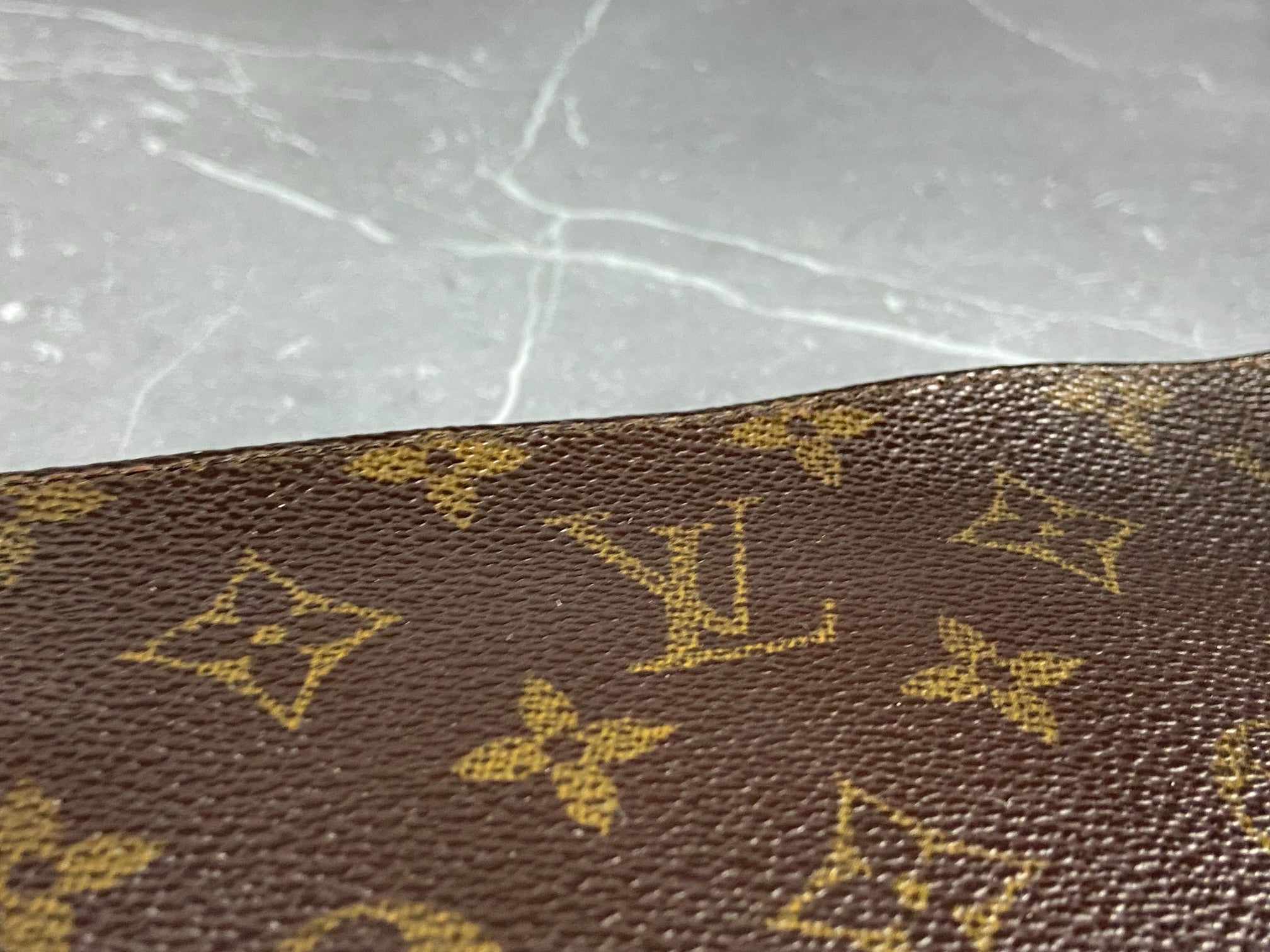 Louis Vuitton Pochette Accessoires Monogram Canvas