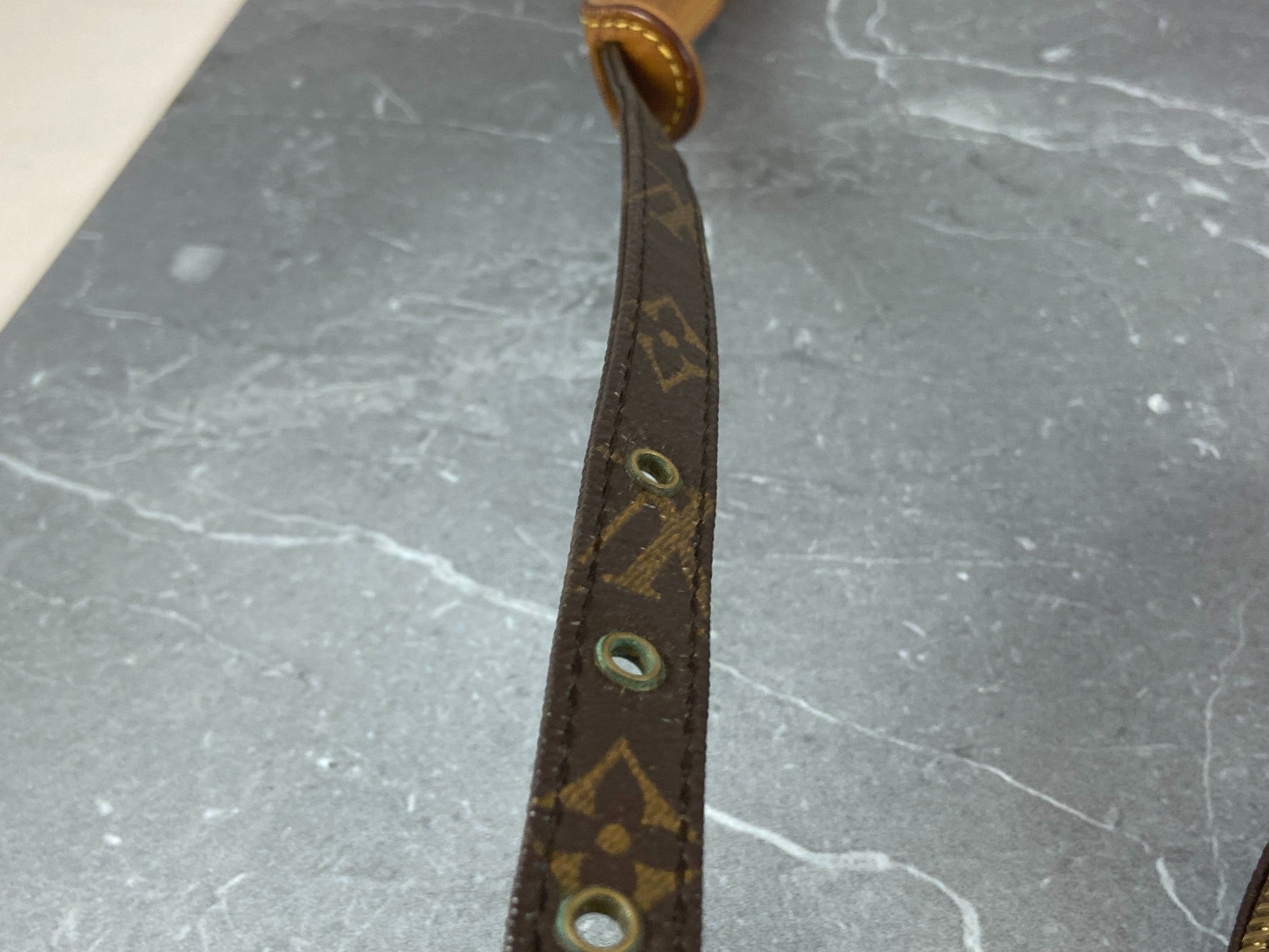 Louis Vuitton Danube PM Monogram Canvas