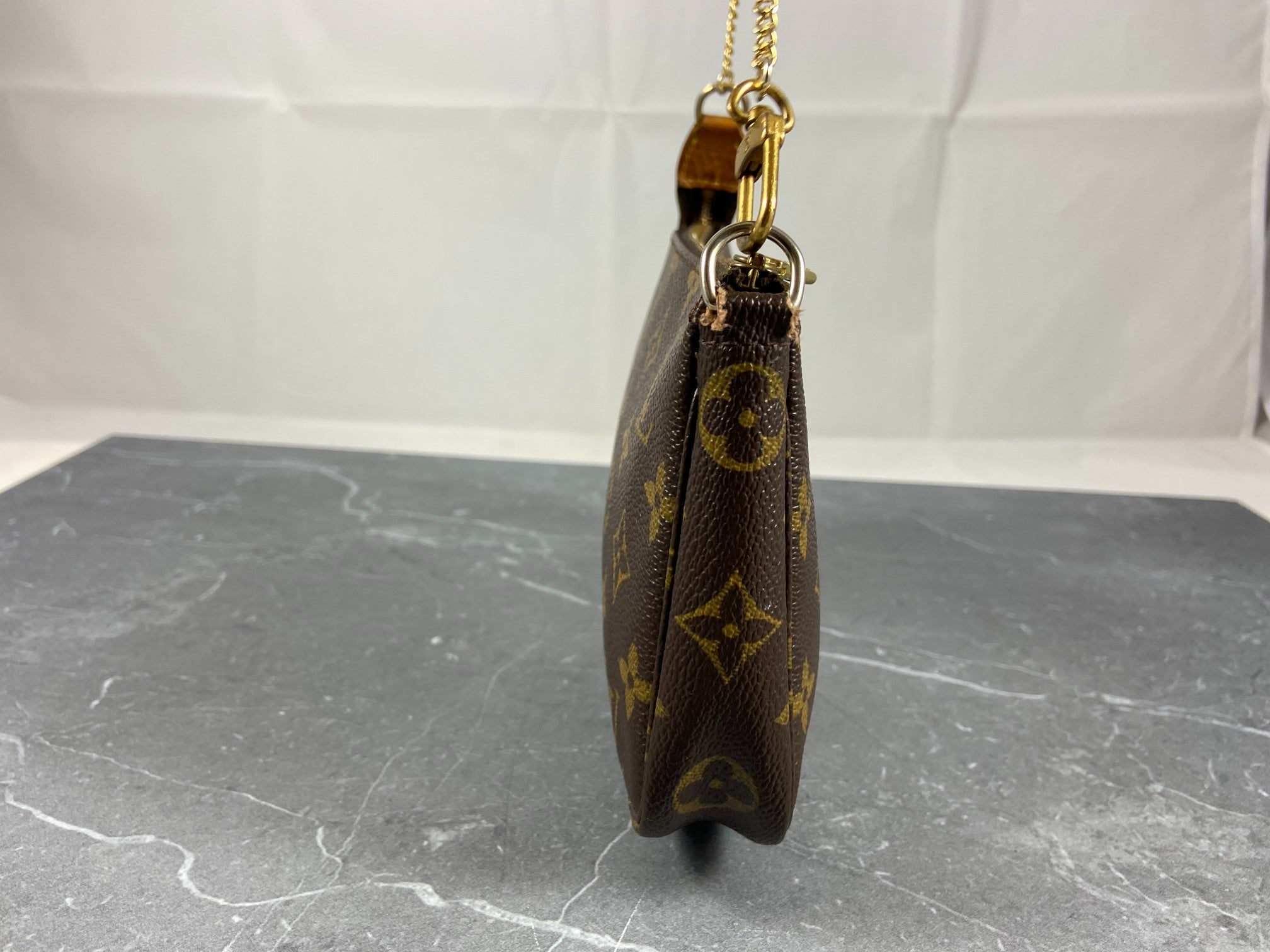 Louis Vuitton Pochette Accessoires Monogram Canvas