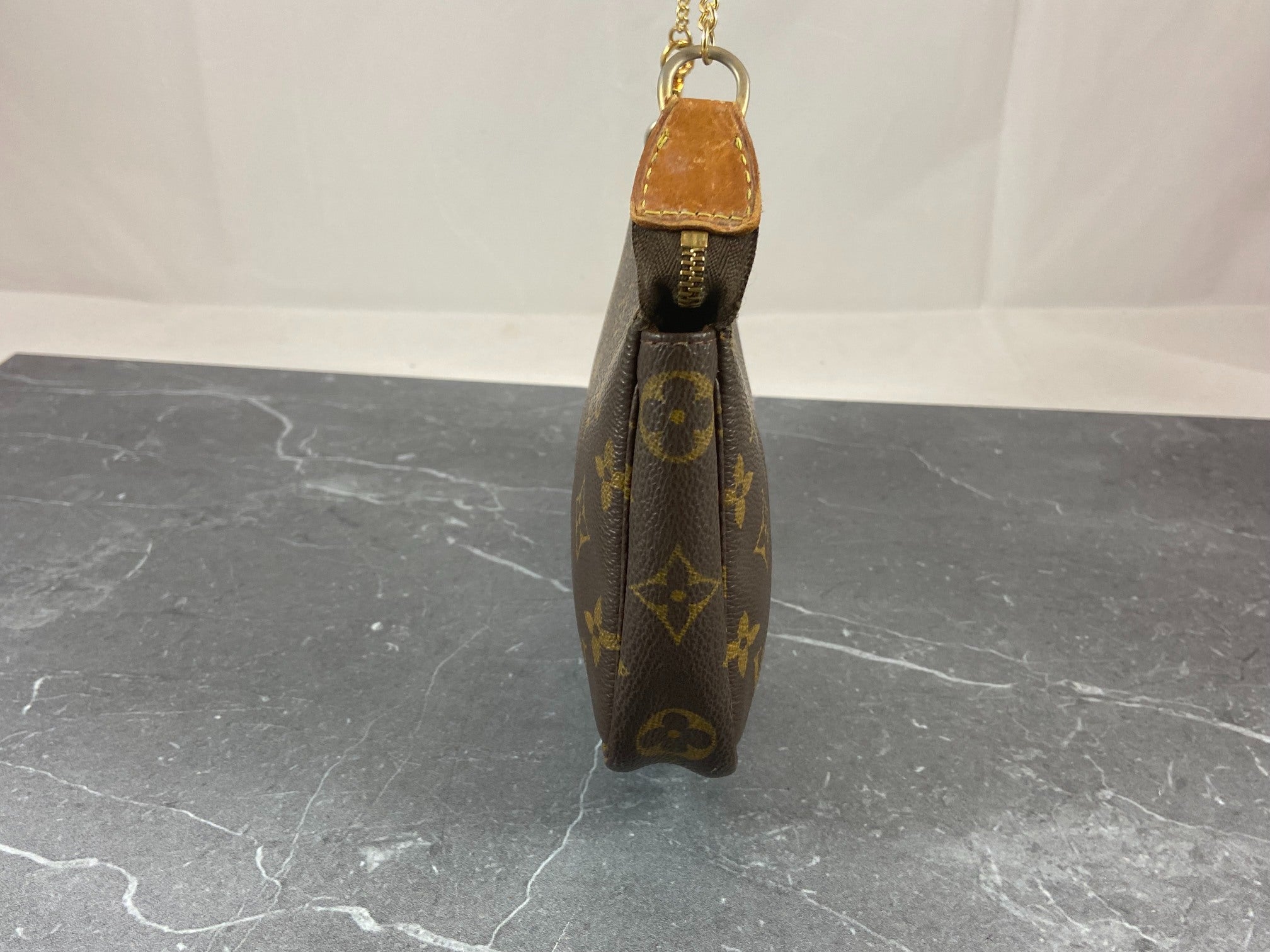 Louis Vuitton Pochette Accessoires Monogram Canvas