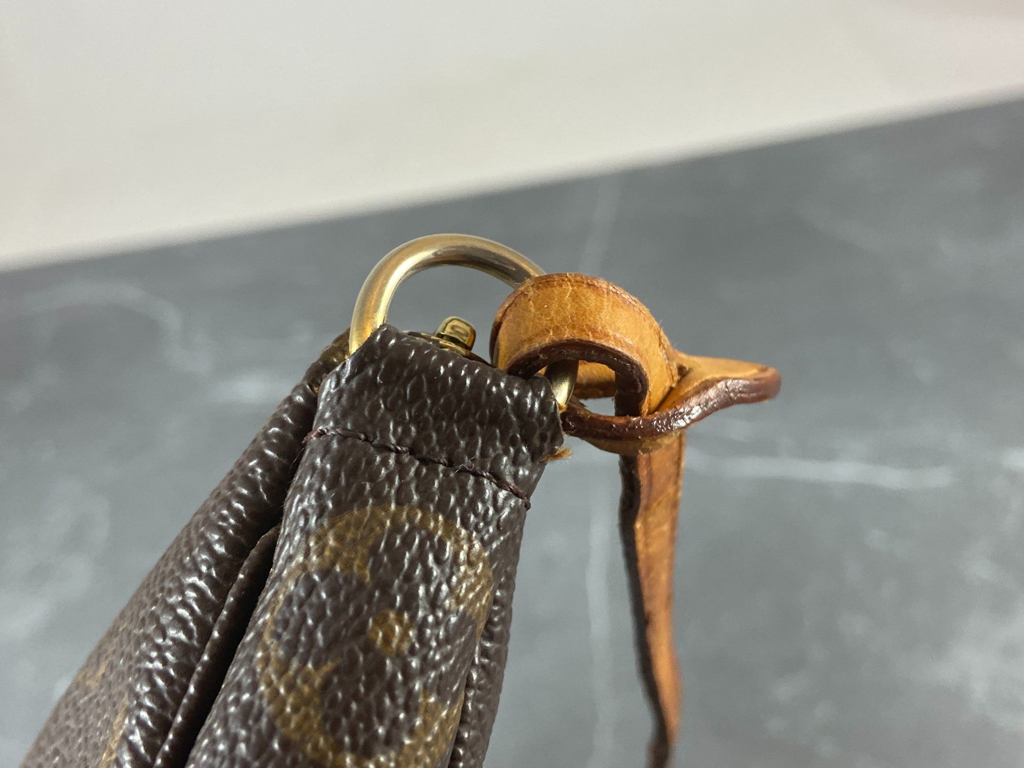 Louis Vuitton Pochette Accessoires Monogram Canvas