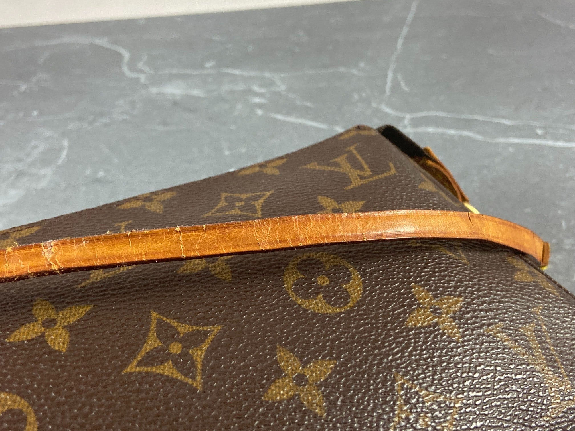 Louis Vuitton Pochette Accessoires Monogram Canvas