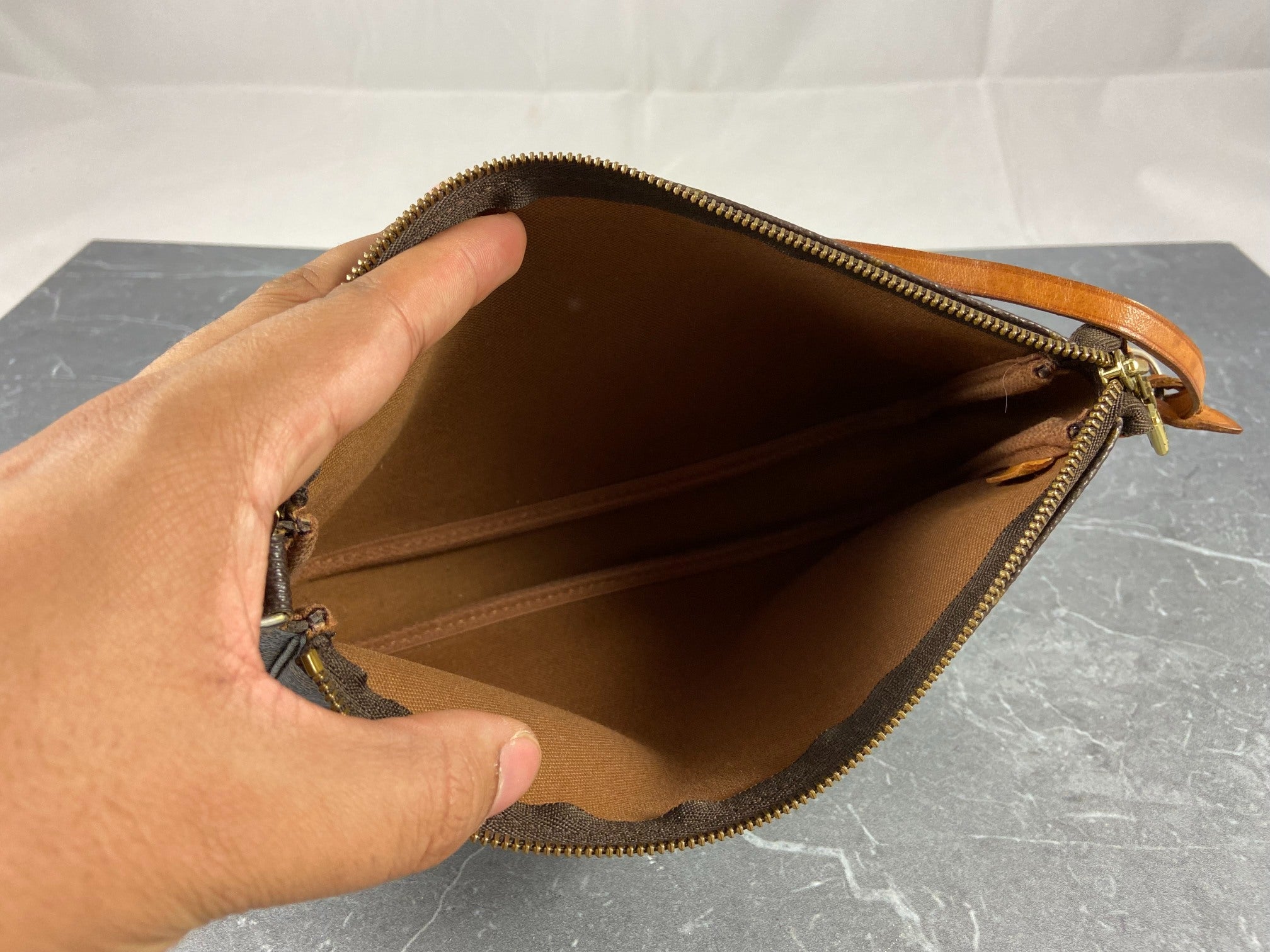 Louis Vuitton Pochette Accessoires Monogram Canvas