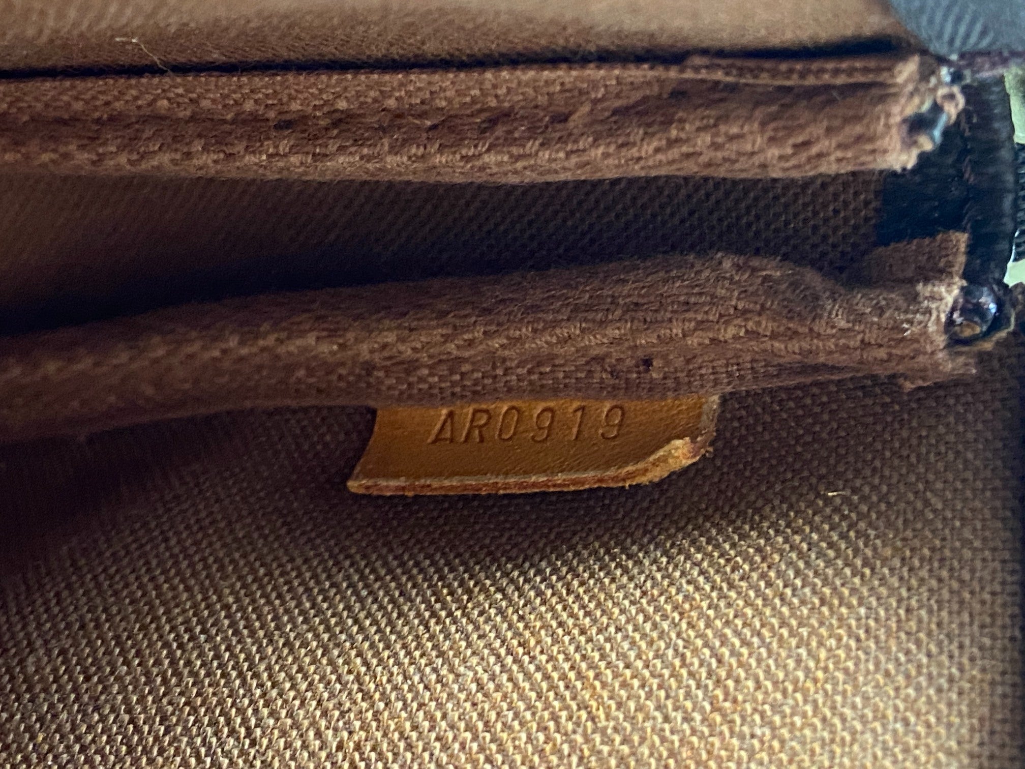 Louis Vuitton Pochette Accessoires Monogram Canvas