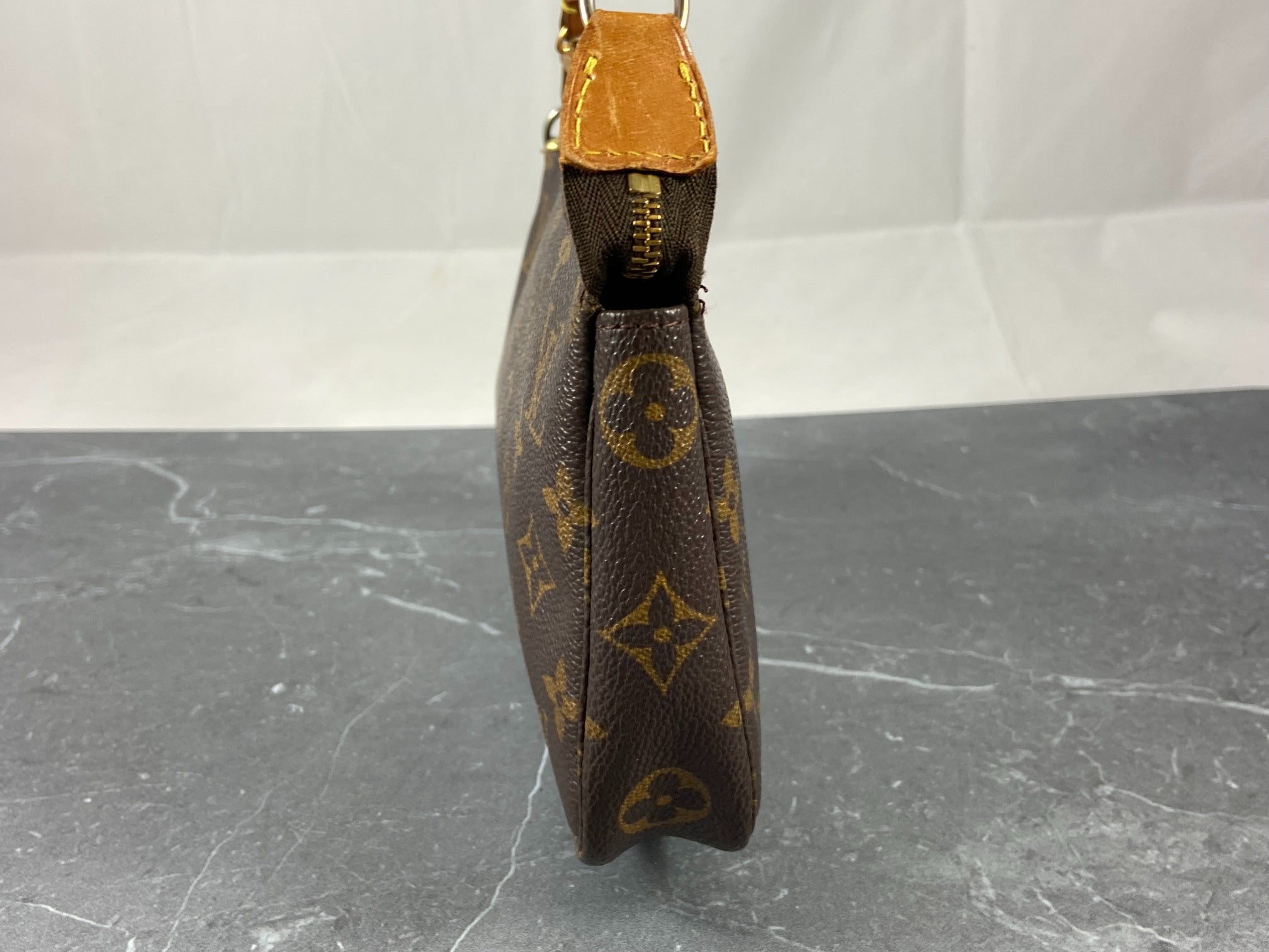 Louis Vuitton Pochette Accessoires Monogram Canvas