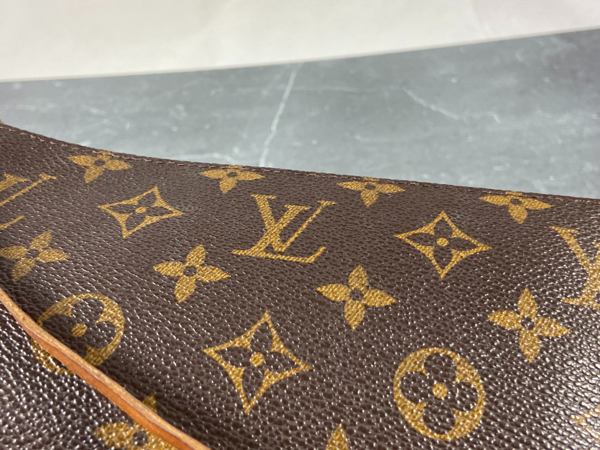 Louis Vuitton Pochette Accessoires Monogram Canvas