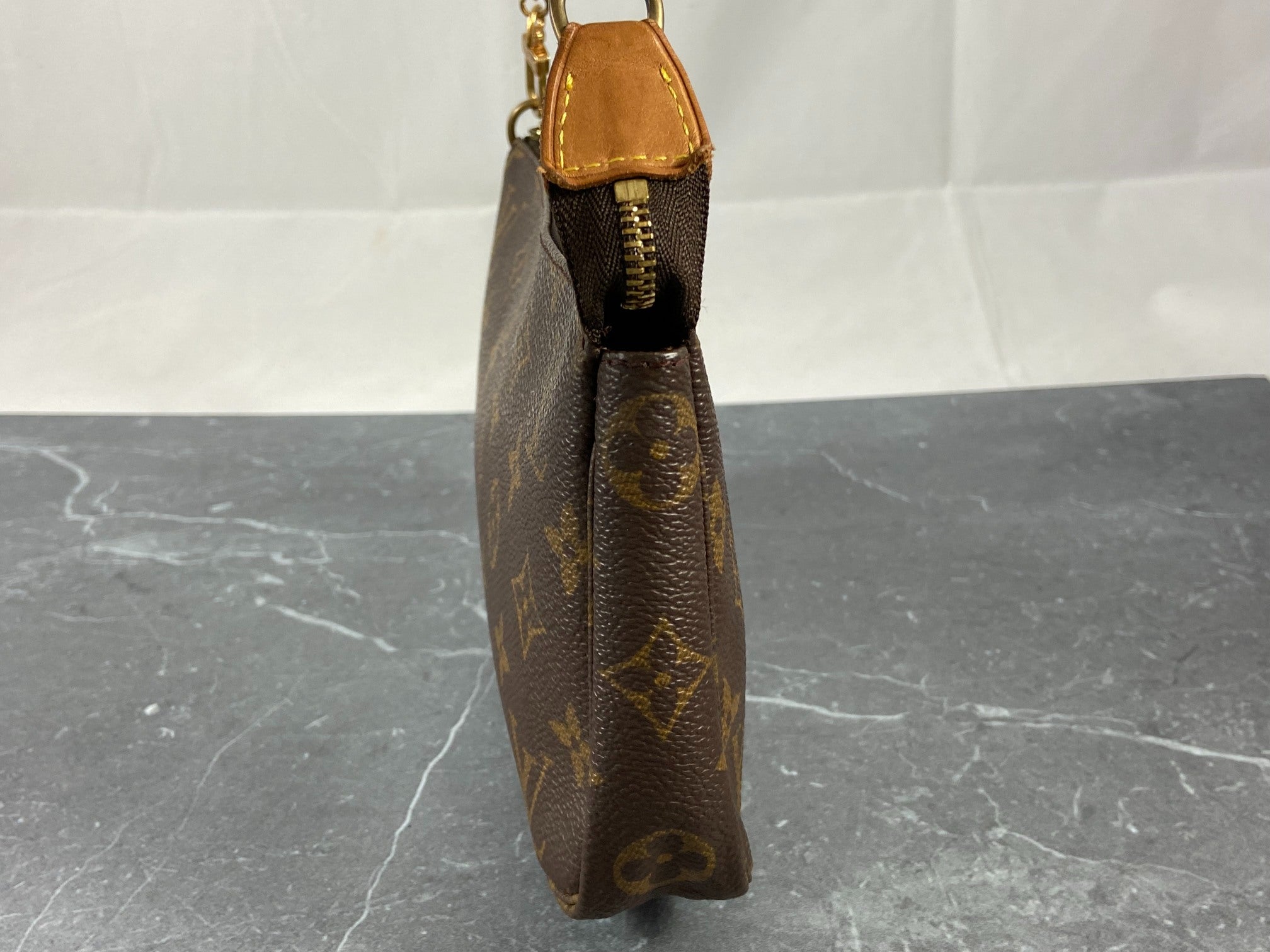 Louis Vuitton Pochette Accessoires Monogram Canvas