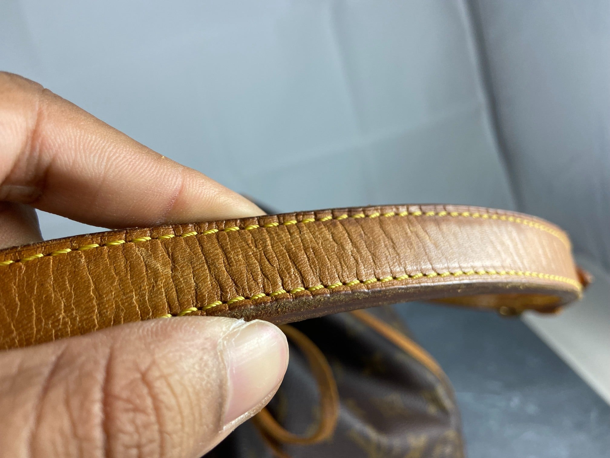 Louis Vuitton Sac Noé Petit Monogram Canvas