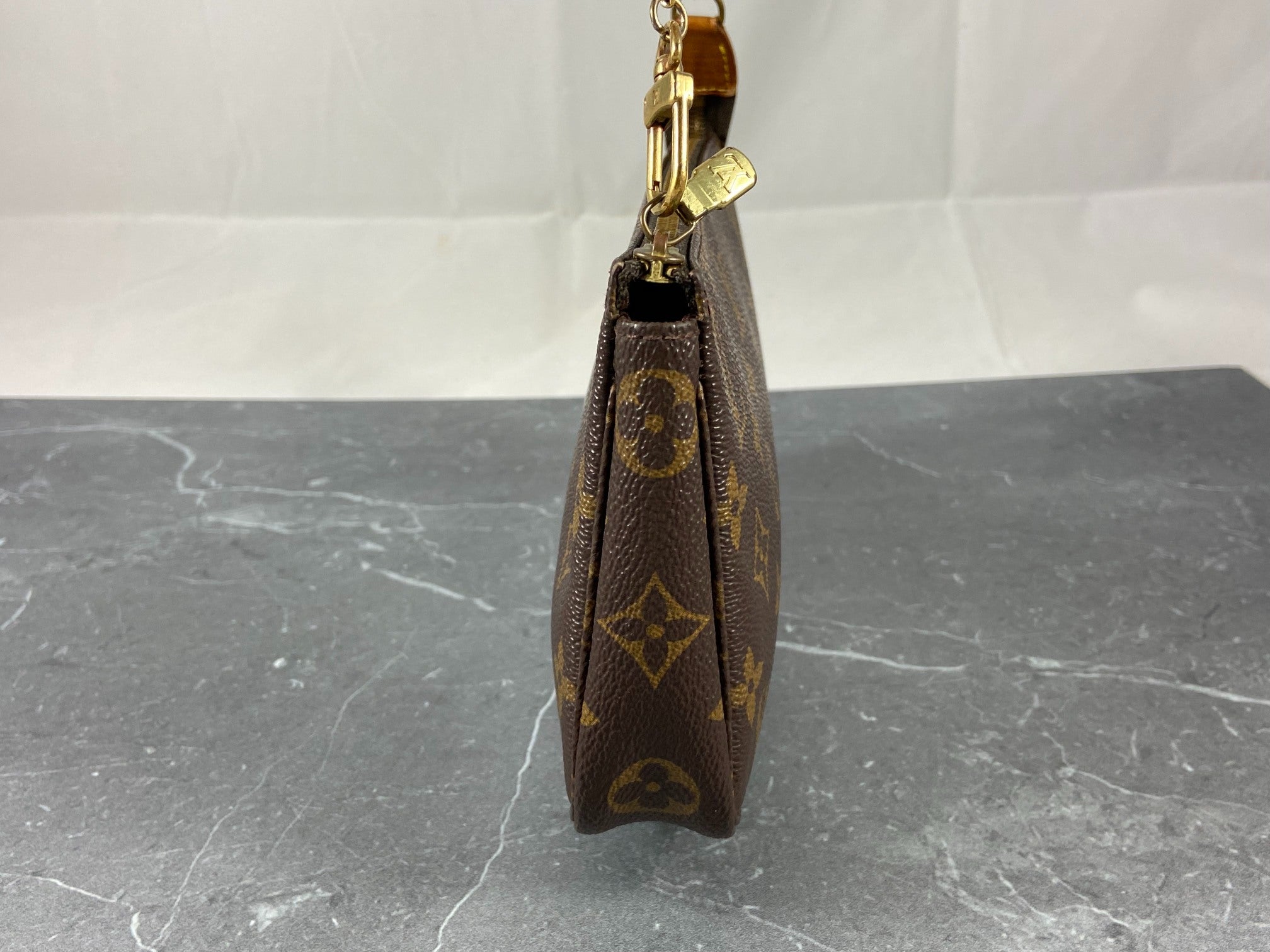 Louis Vuitton Pochette Accessoires Monogram Canvas