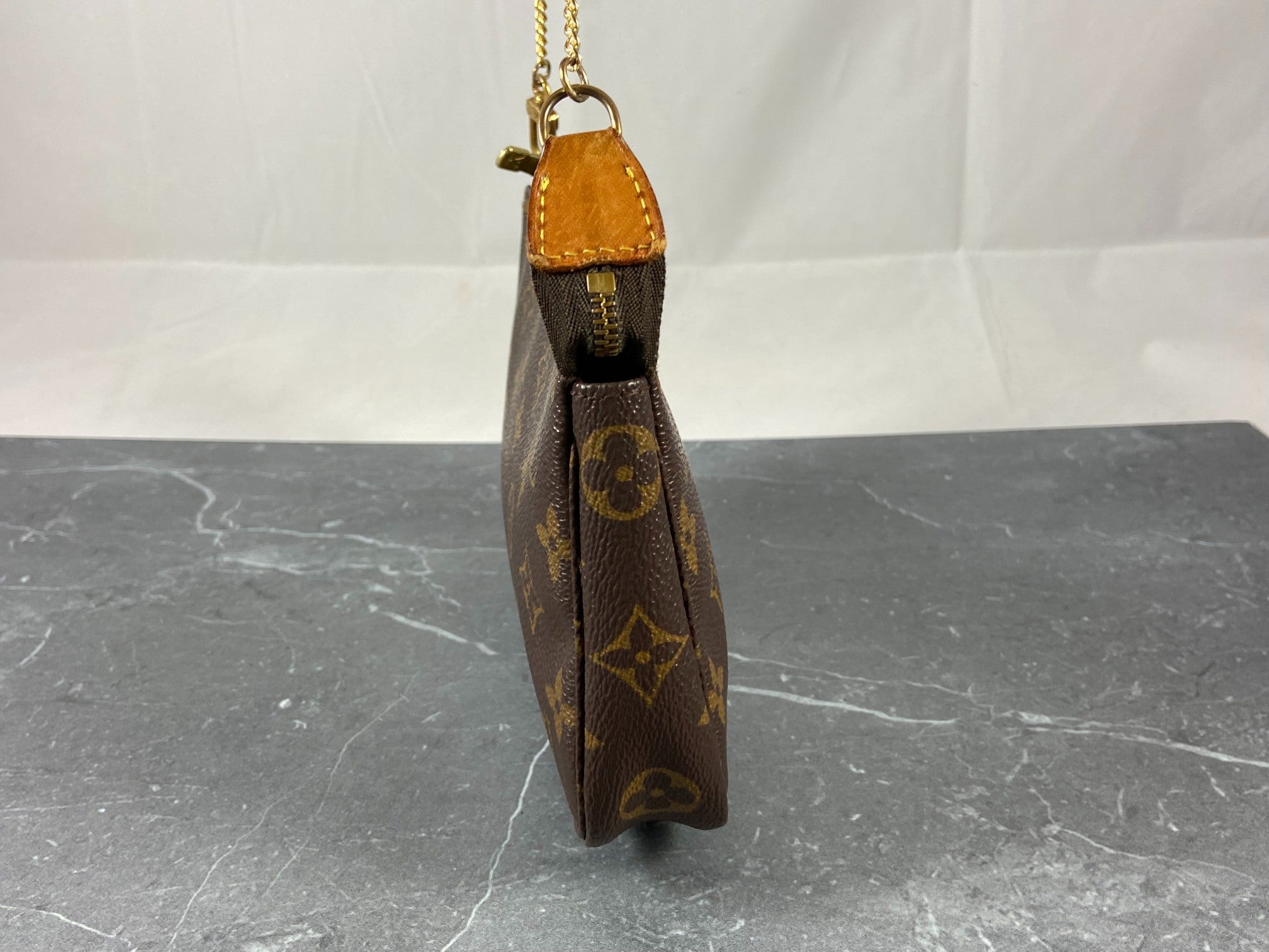 Louis Vuitton Pochette Accessoires Monogram Canvas