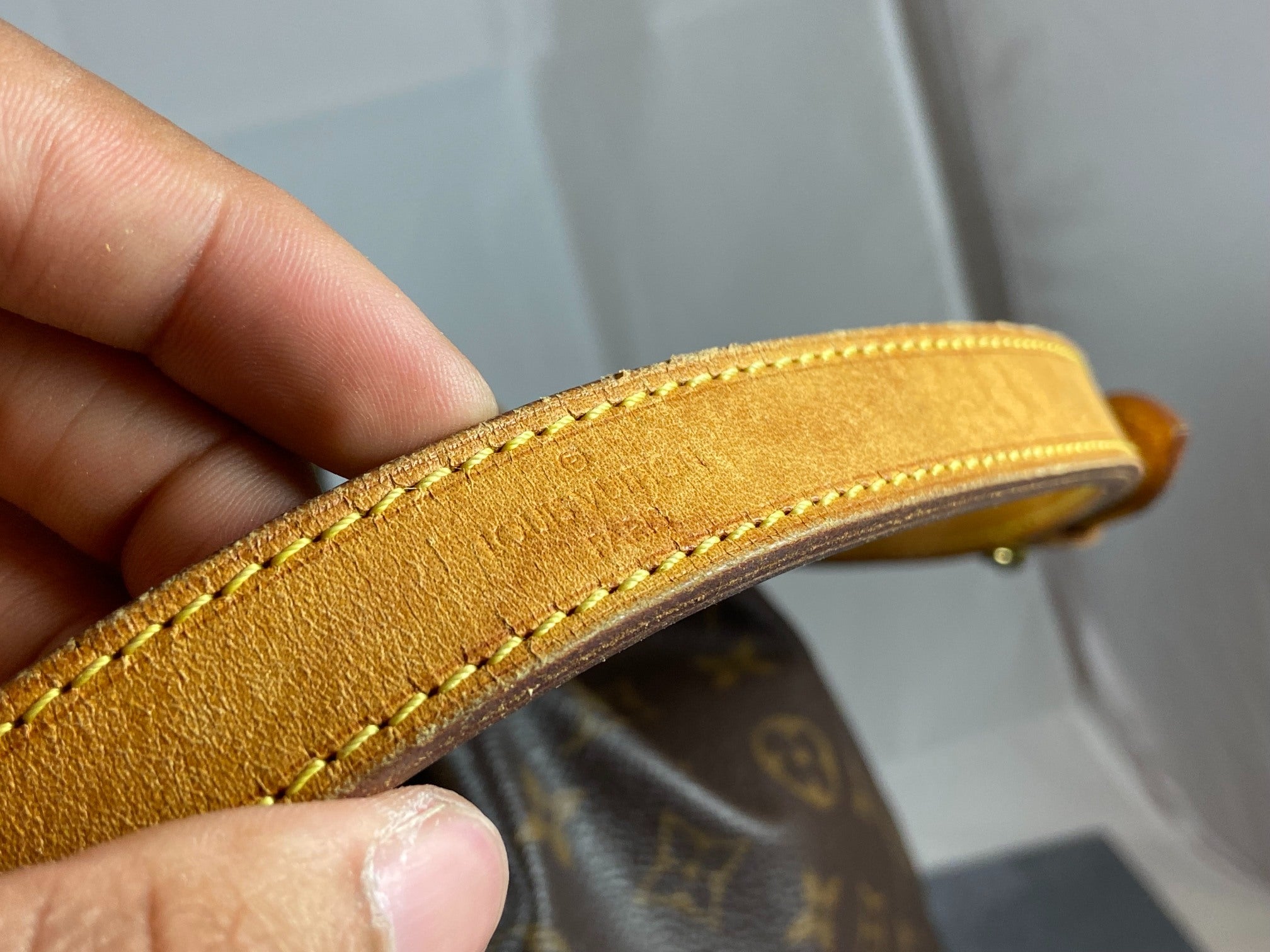 Louis Vuitton Sac Noé Grand Monogram Canvas