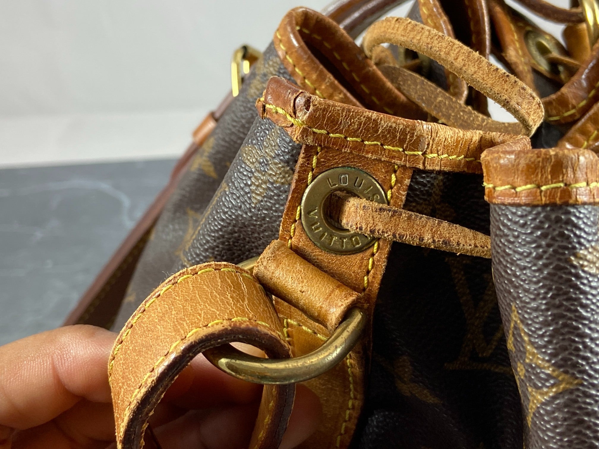 Louis Vuitton Sac Noé Petit Monogram Canvas