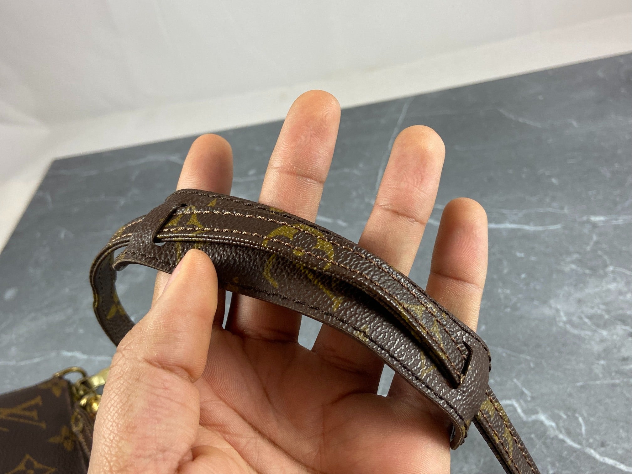 Louis Vuitton Pochette Accessoires Monogram Canvas