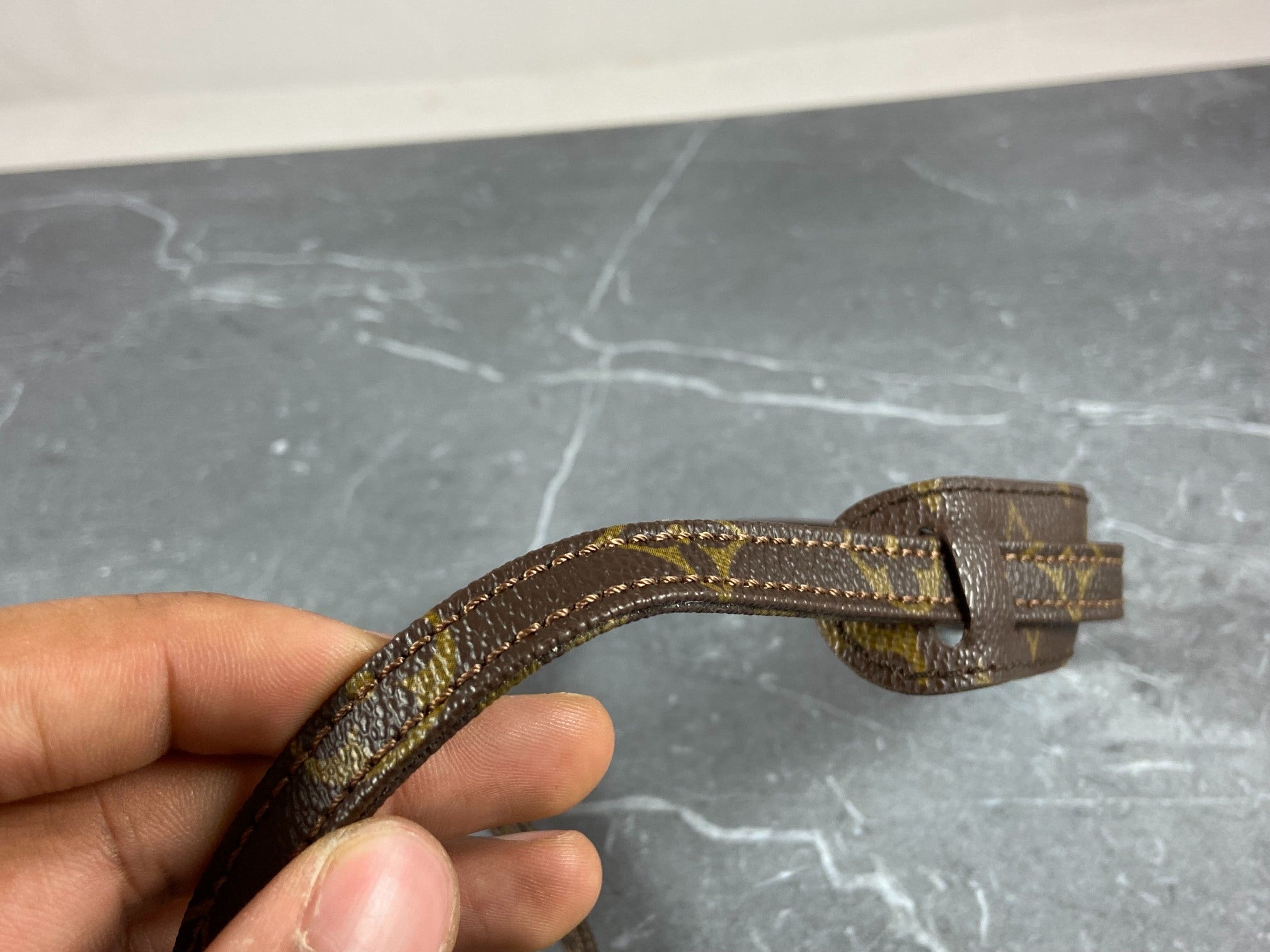 Louis Vuitton Pochette Accessoires Monogram Canvas