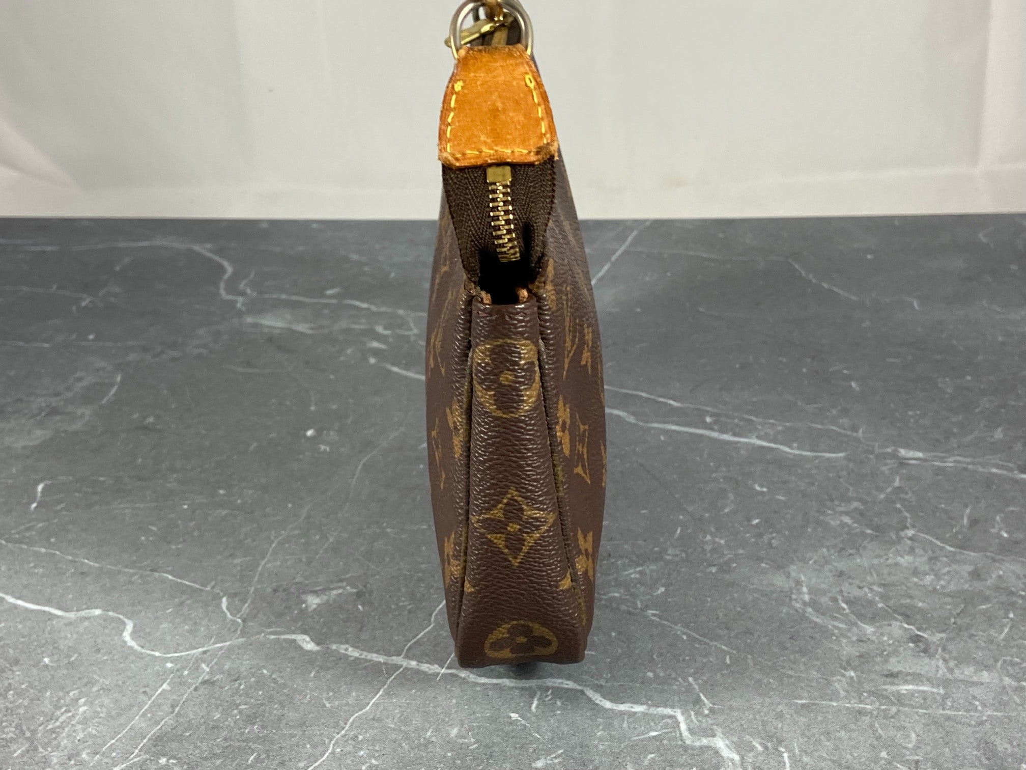 Louis Vuitton Pochette Accessoires Monogram Canvas