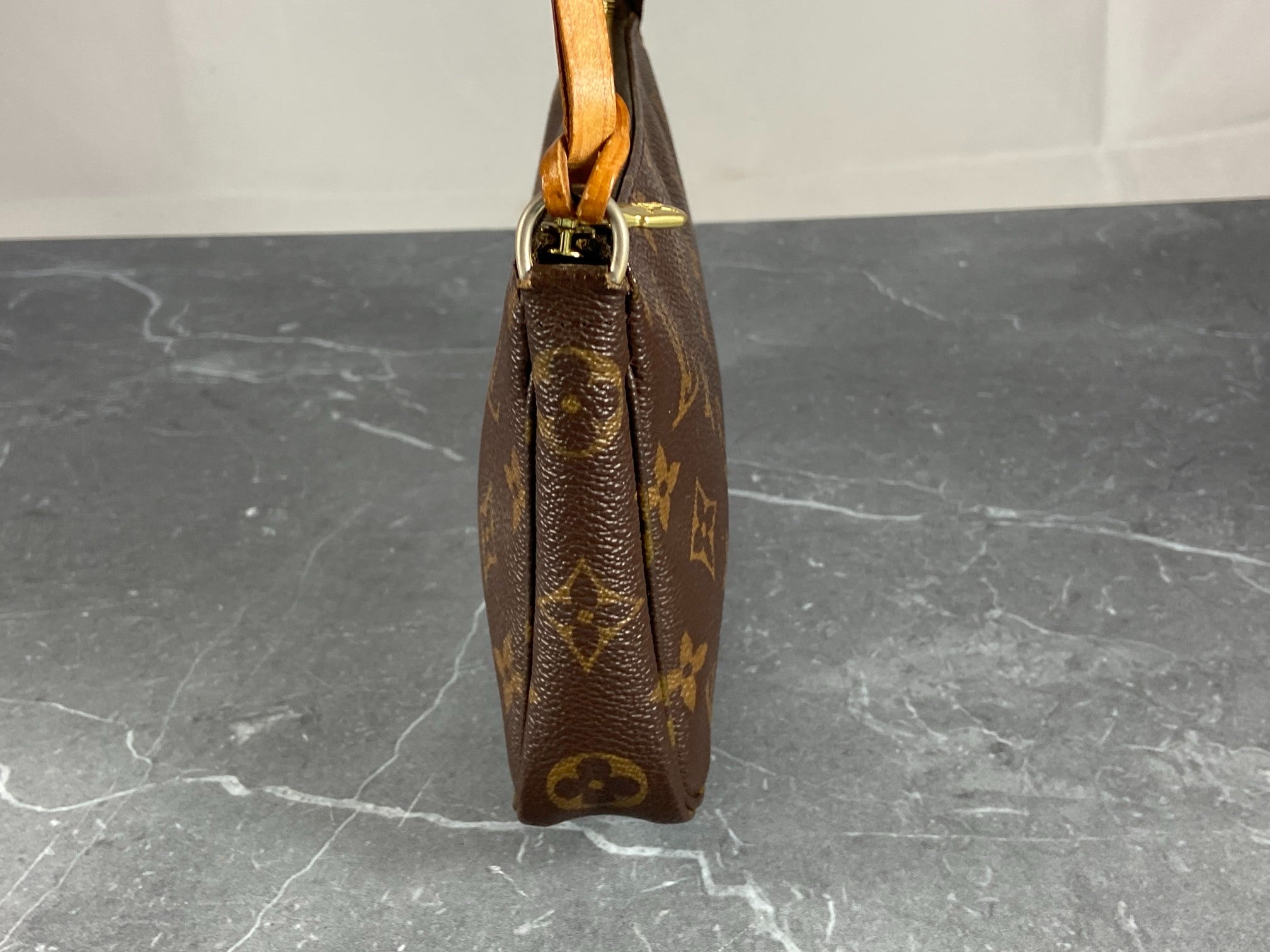 Louis Vuitton Pochette Accessoires Monogram Canvas