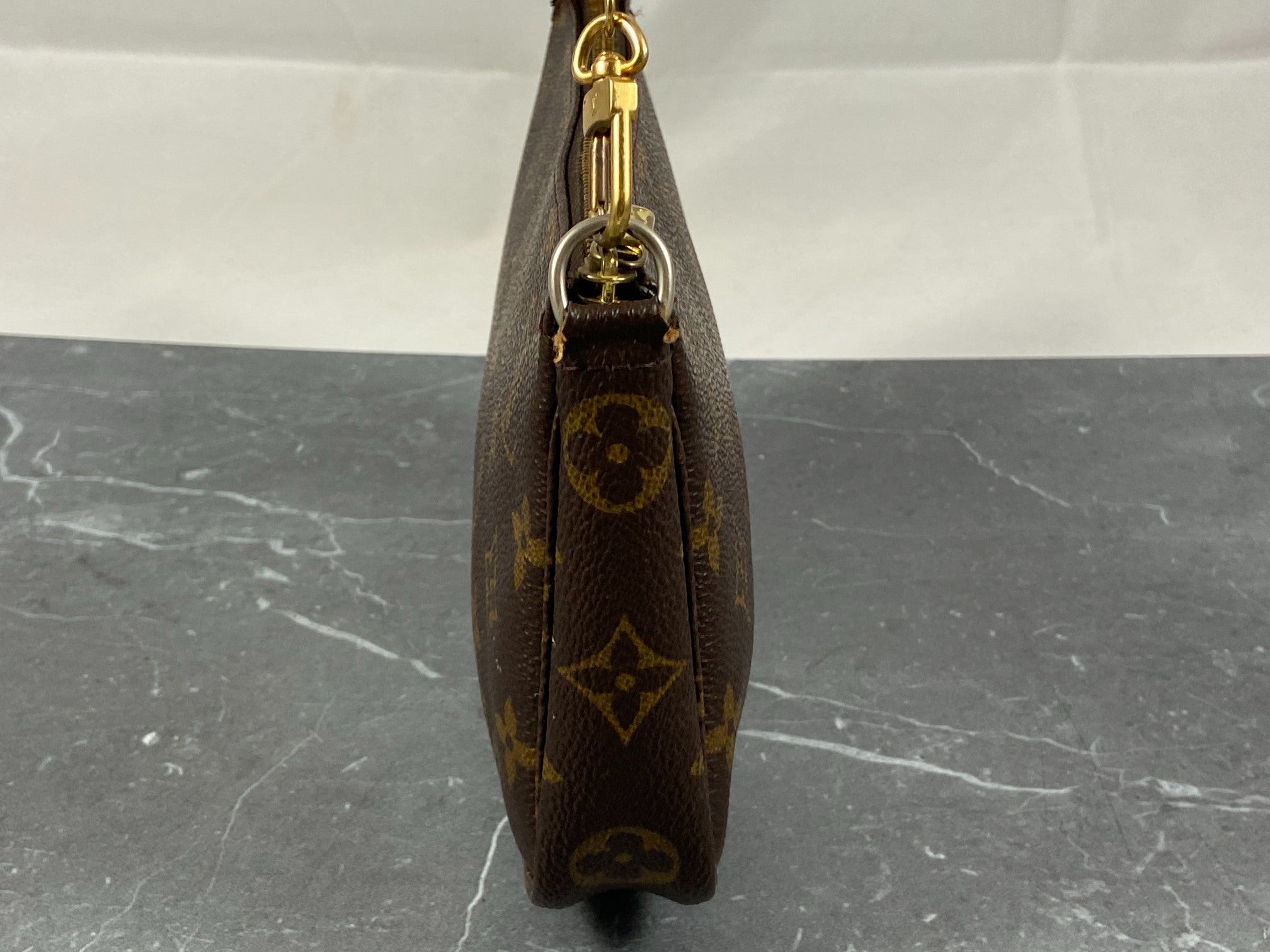 Louis Vuitton Pochette Accessoires Monogram Canvas