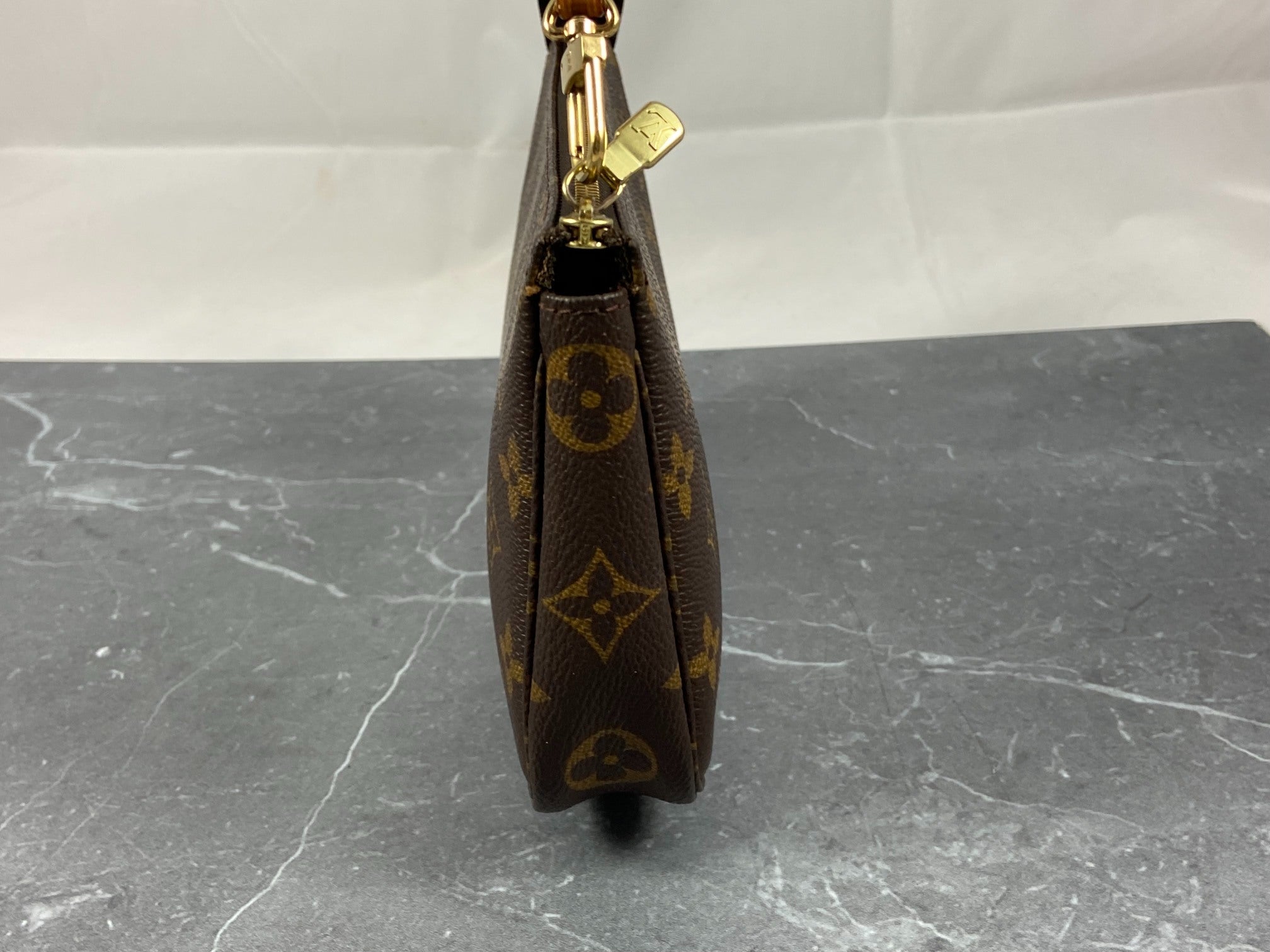 Louis Vuitton Pochette Accessoires Monogram Canvas