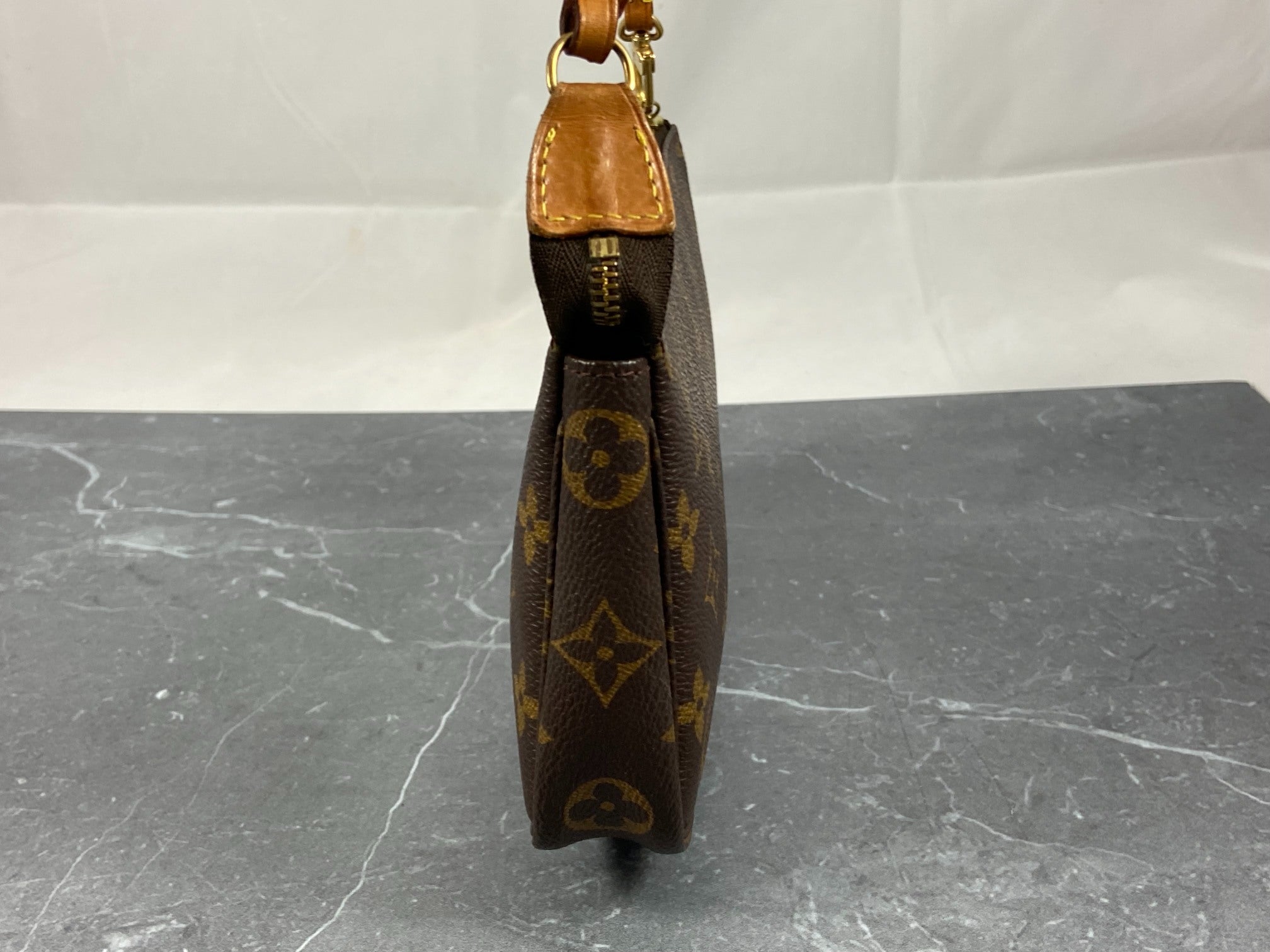 Louis Vuitton Pochette Accessoires Monogram Canvas