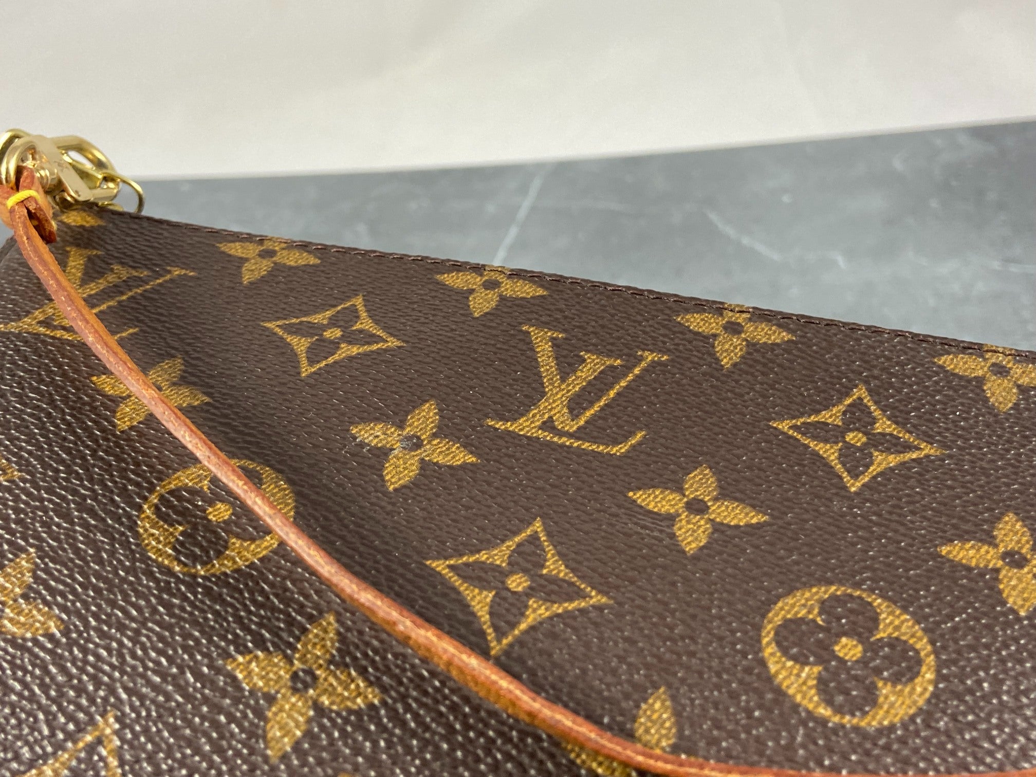 Louis Vuitton Pochette Accessoires Monogram Canvas