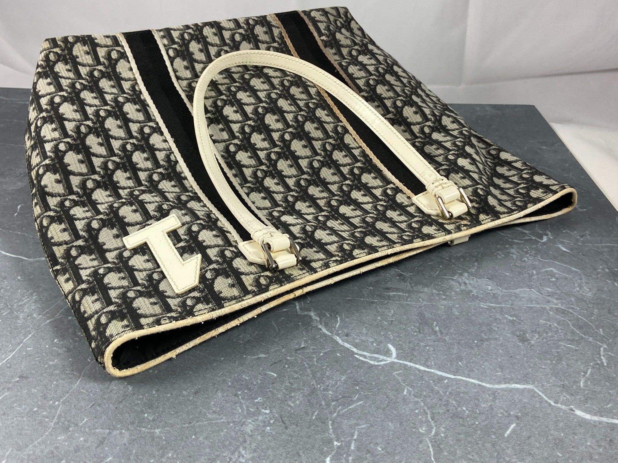 Christian Dior Hand / Shoulder Bag Black Trotter Monogram