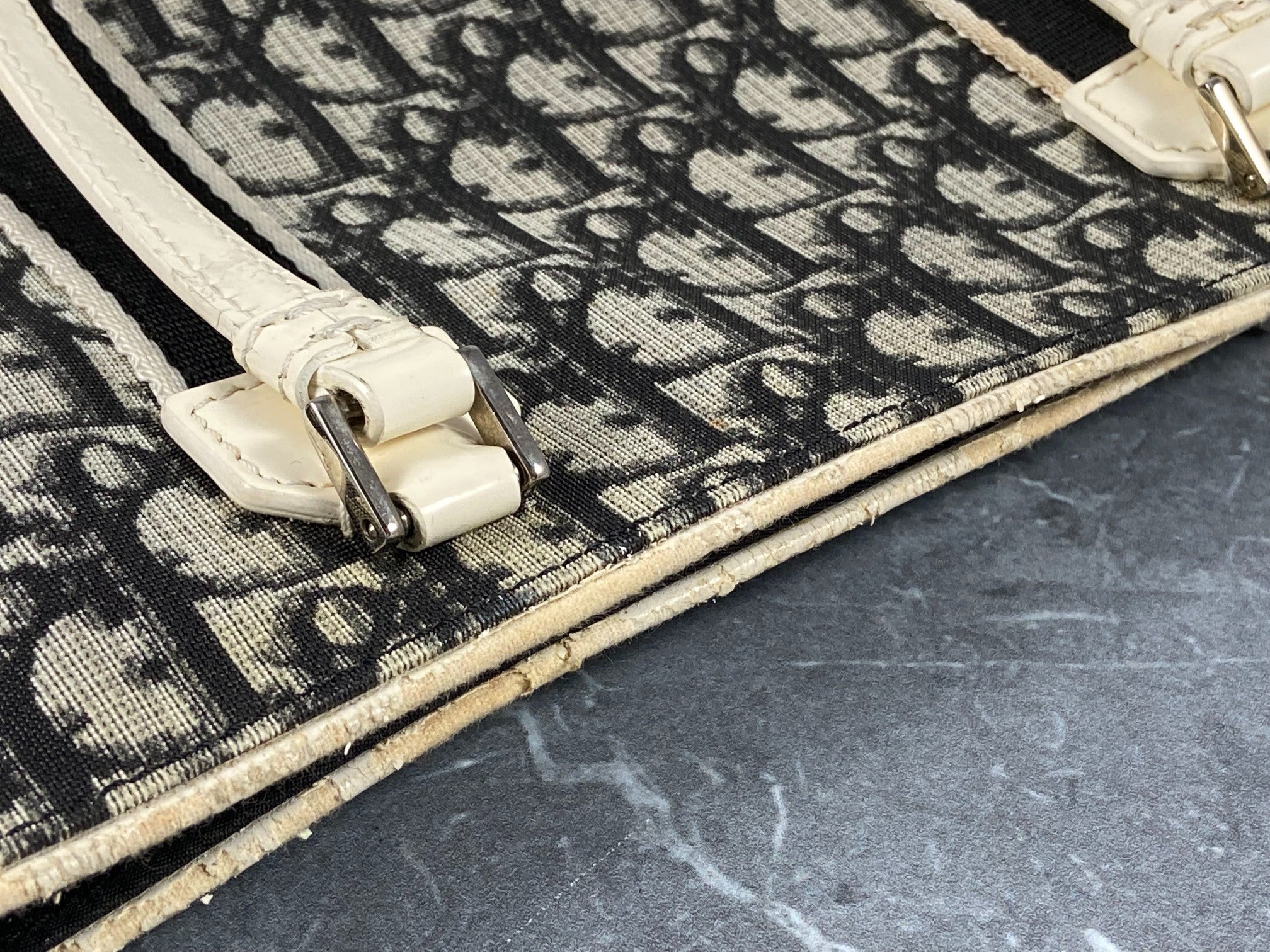 Christian Dior Hand / Shoulder Bag Black Trotter Monogram