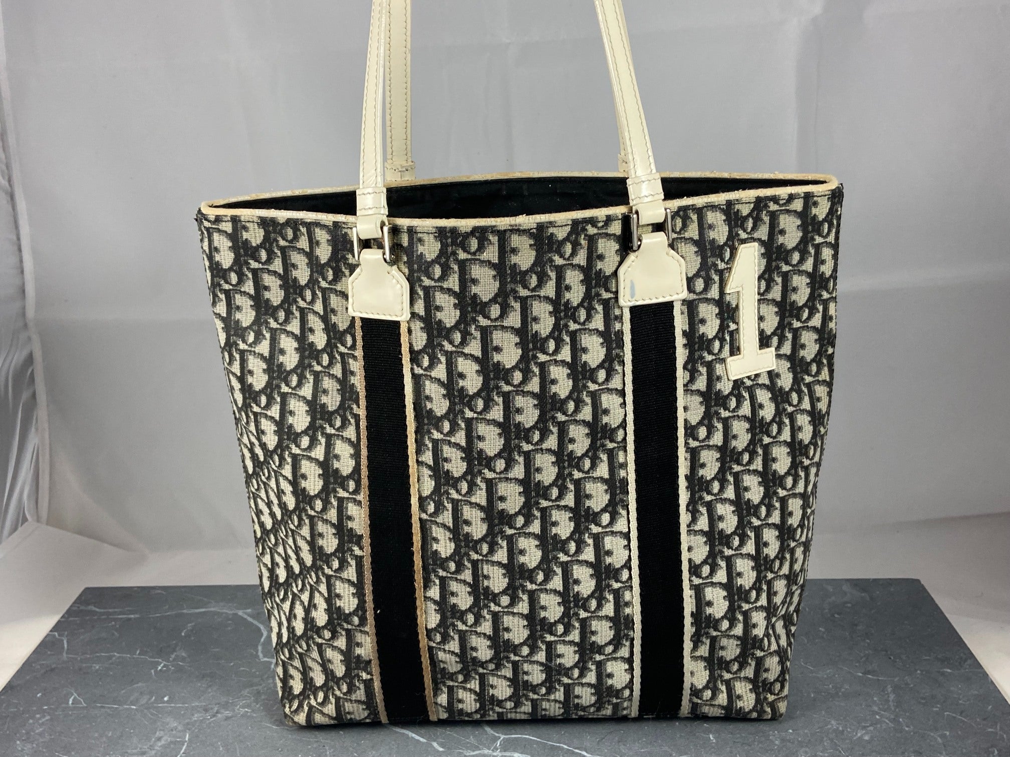 Christian Dior Hand / Shoulder Bag Black Trotter Monogram