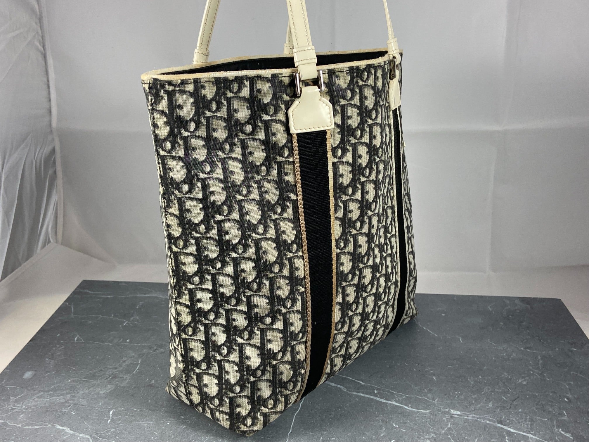 Christian Dior Hand / Shoulder Bag Black Trotter Monogram