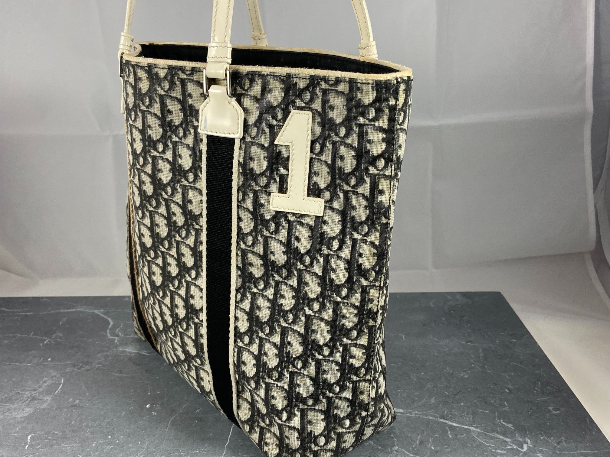 Christian Dior Hand / Shoulder Bag Black Trotter Monogram