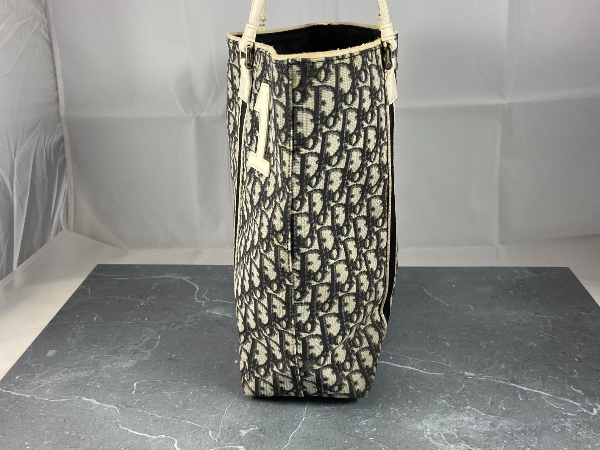 Christian Dior Hand / Shoulder Bag Black Trotter Monogram